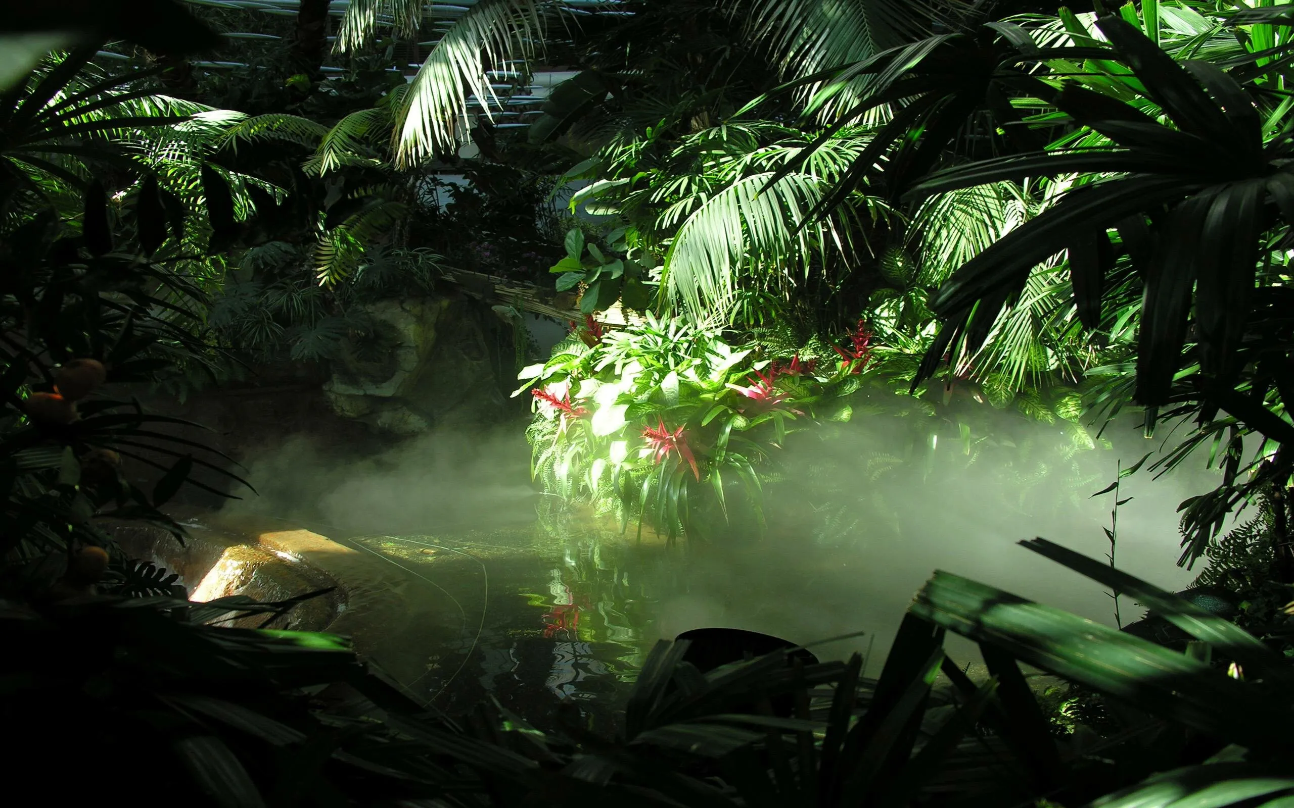 Dense Tropical Forest with Mist and Glowing Green Light