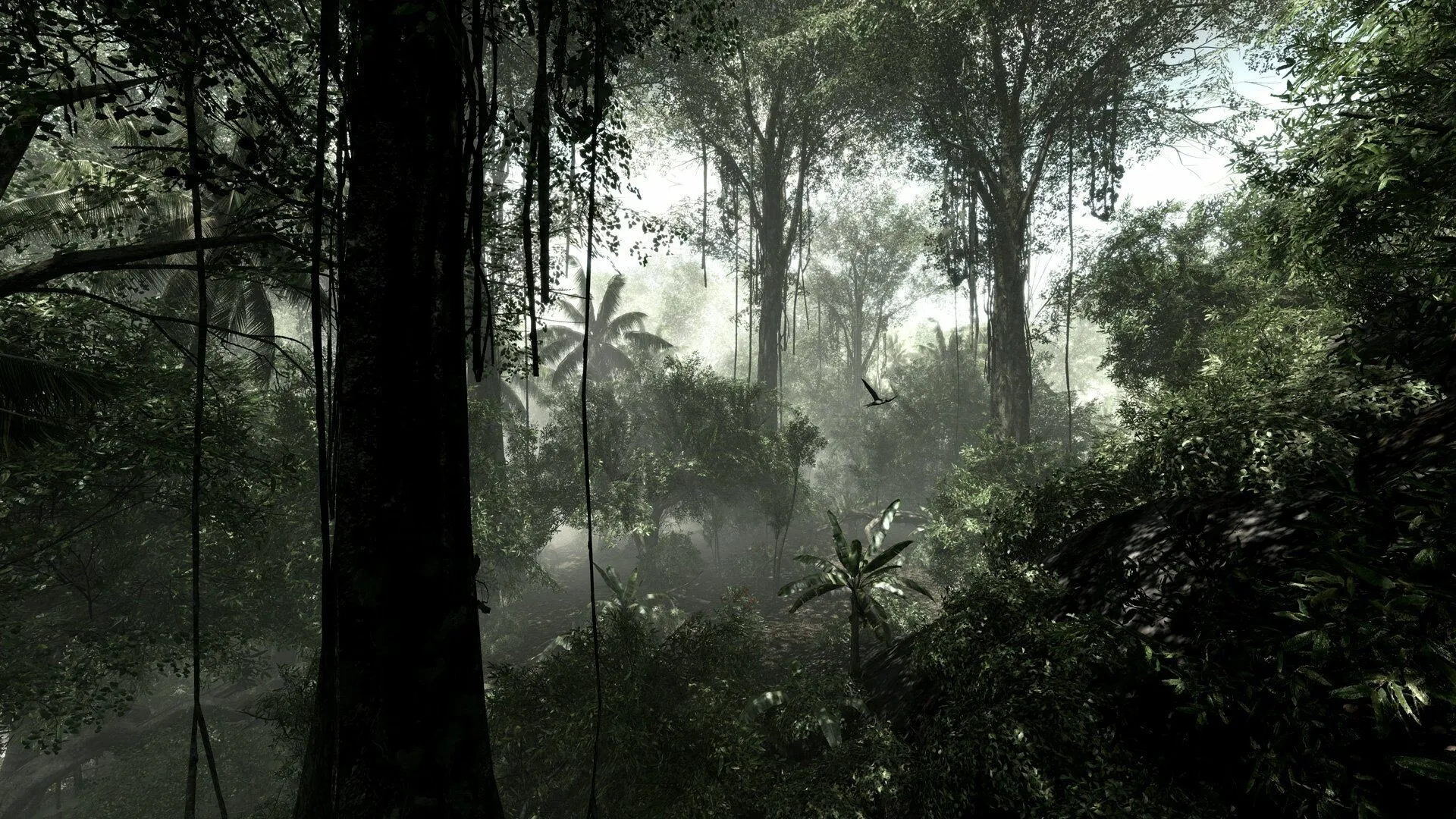 Dense Tropical Rainforest with Mist and Dark Shadows