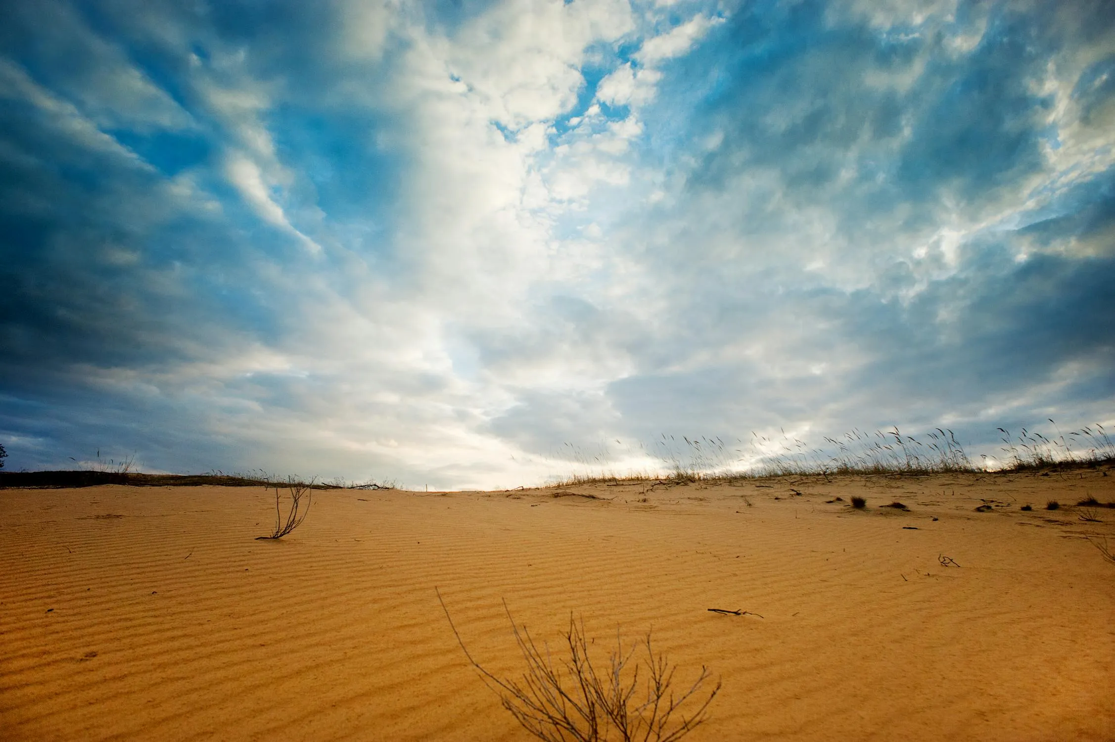 Desert Landscape Stretched Under a Vast Blue Cloudy Sky