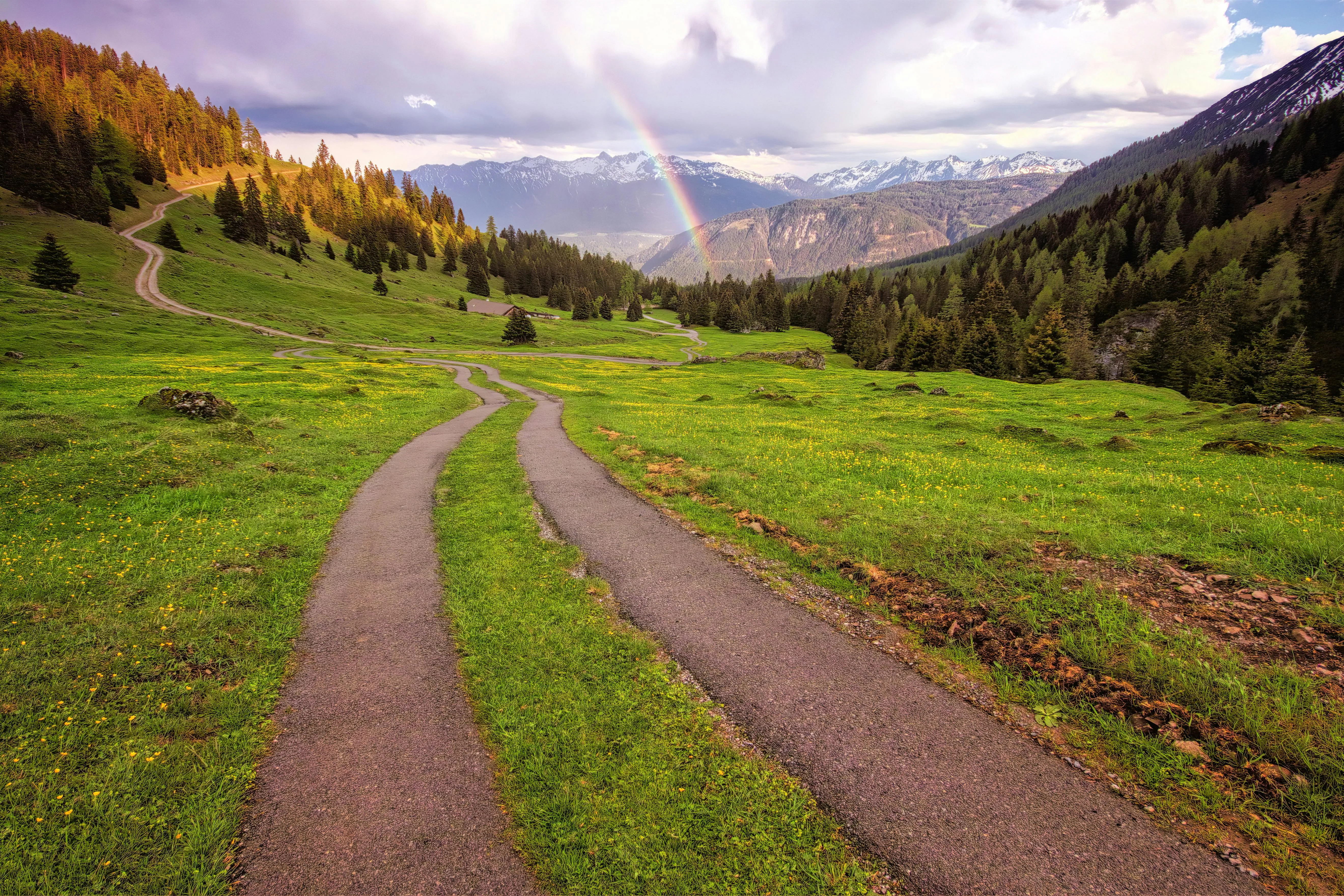 Dirt Path Winding Through Lush Green Hills and Meadows