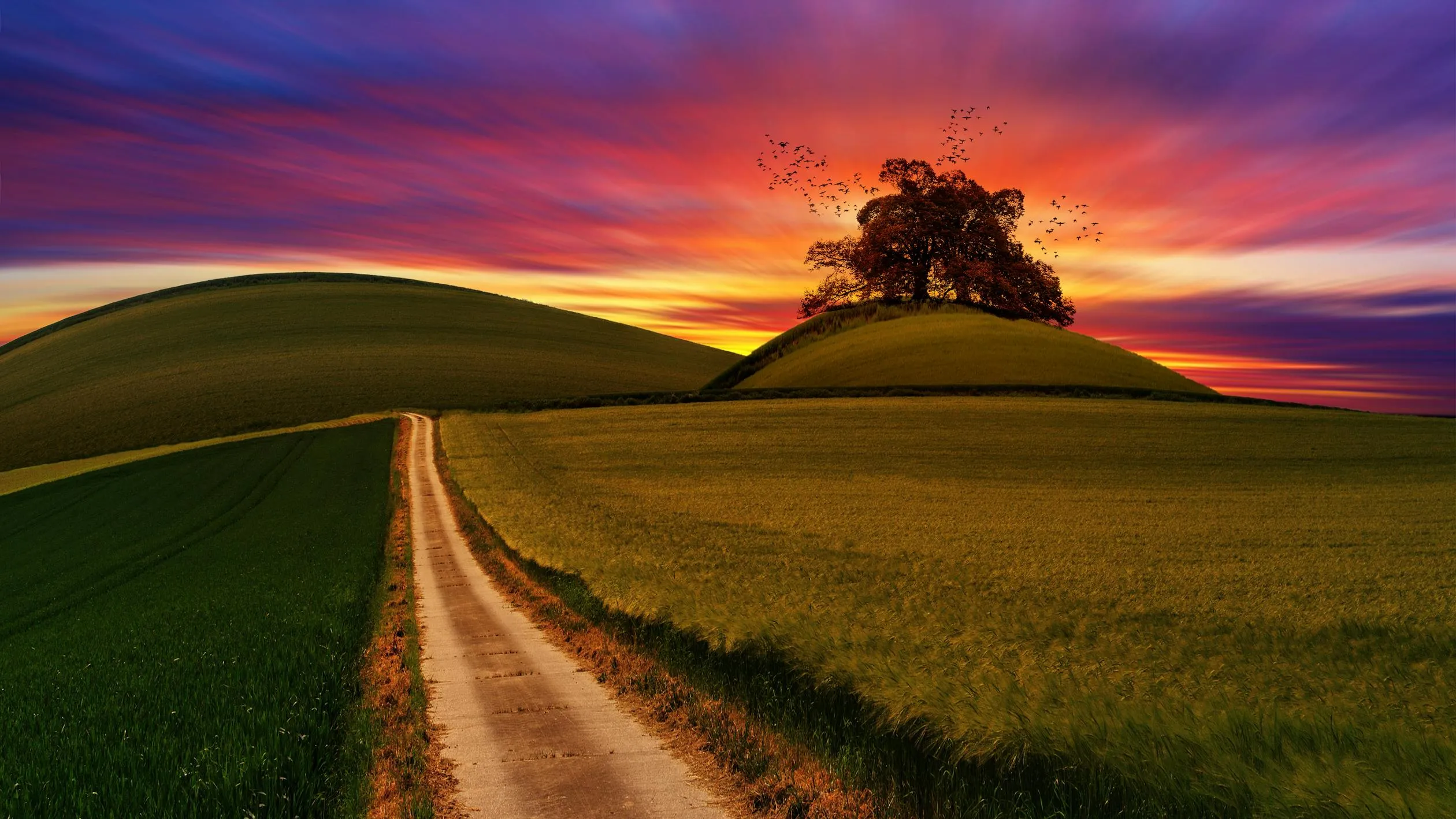 Dirt Road Winding Through Rolling Hills at Sunset Time