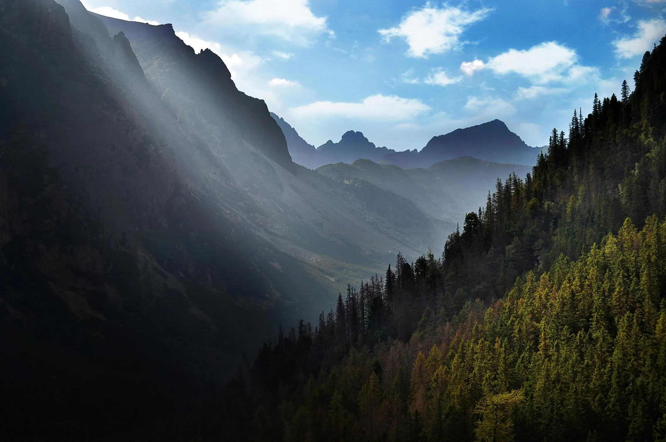 Dramatic Mountain Forest View with Deep Valley Shadows