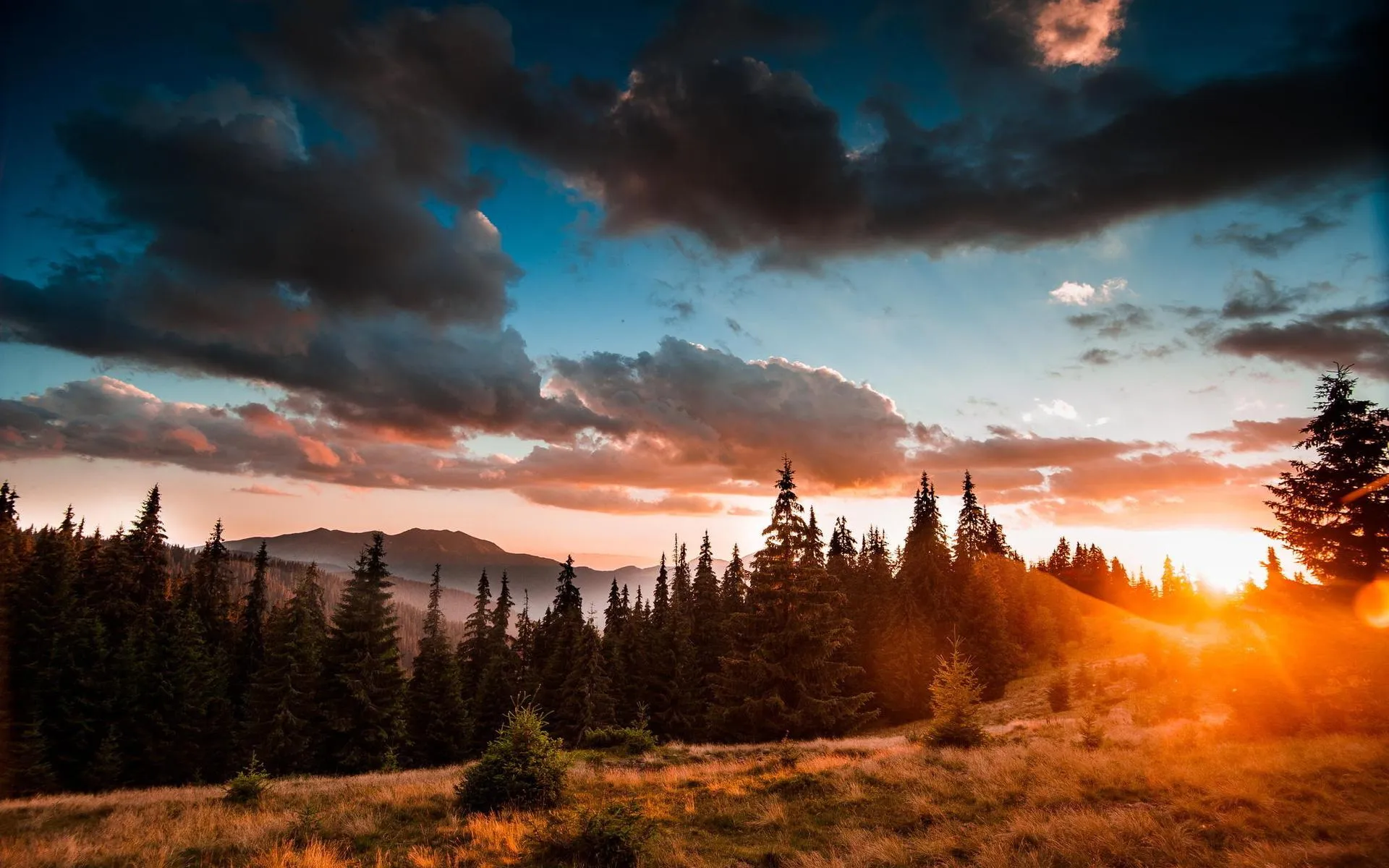 Dramatic Sunset Sky Over Forest and Distant Peaks image