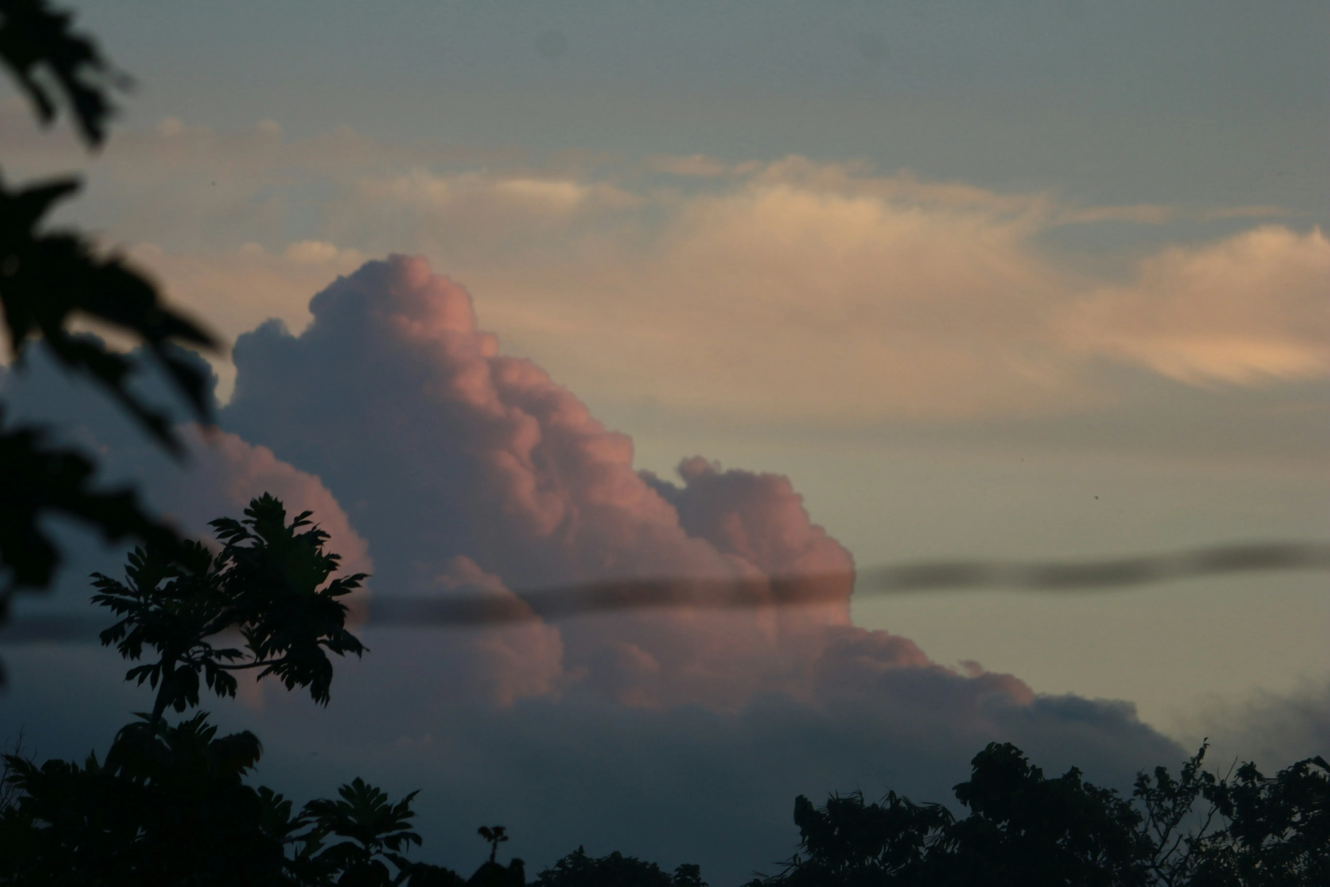 Evening Skies with Pink Clouds Over Calm Tropical Setting