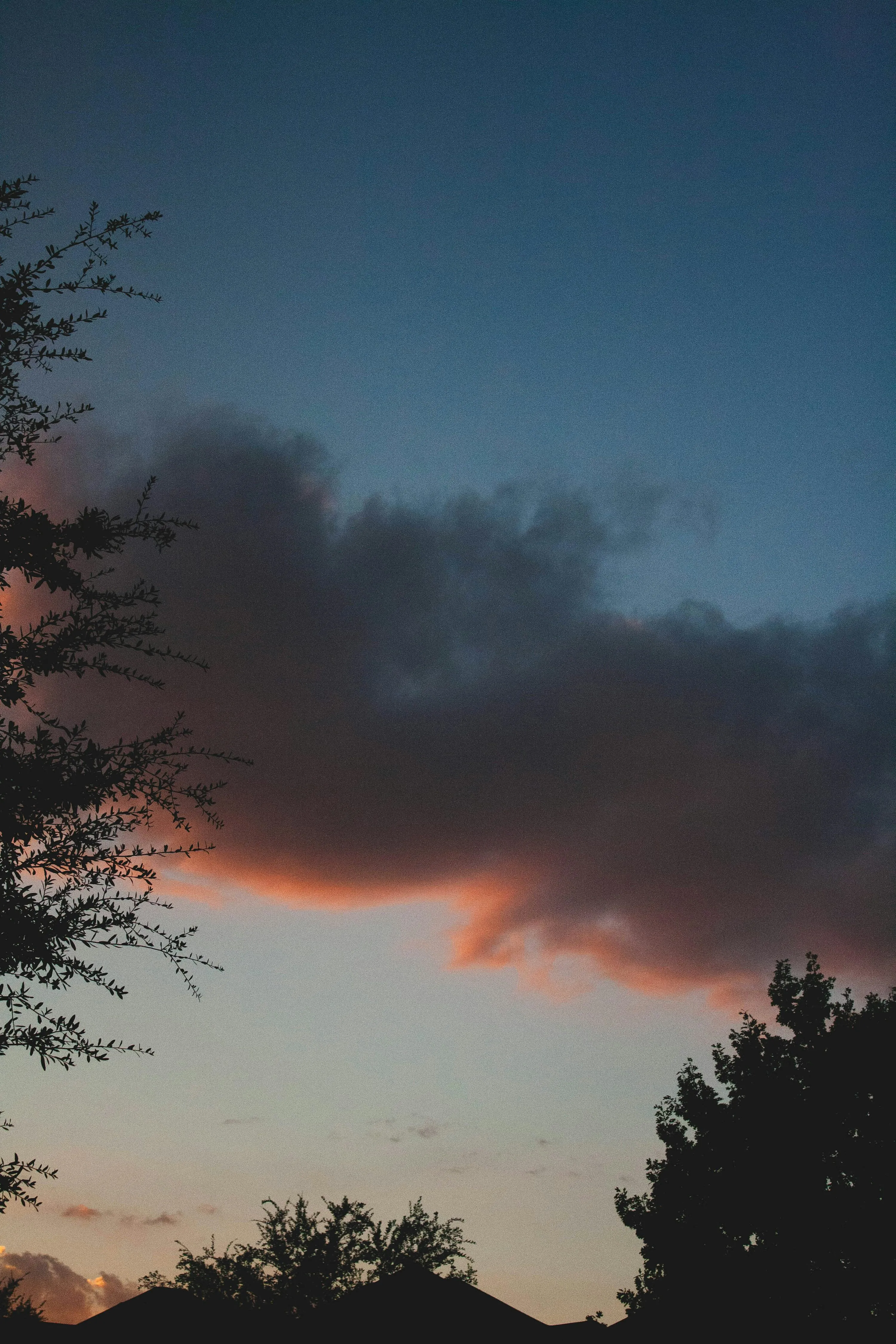 Evening Sky with Dark Clouds and Silhouetted Trees Image