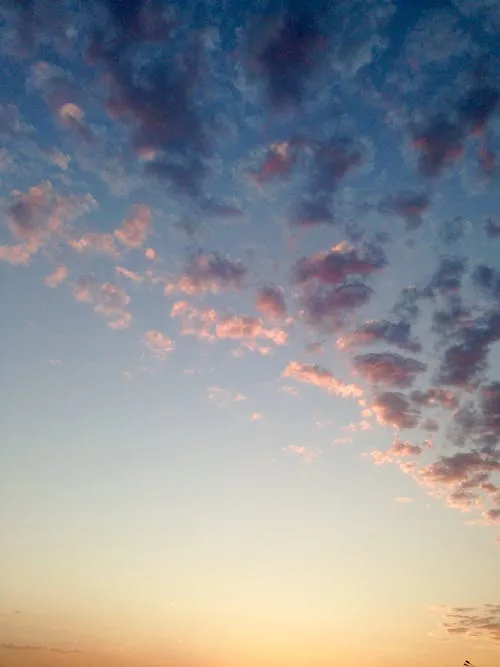Evening Sky with Pink Clouds Over a Blue Sky Free Image