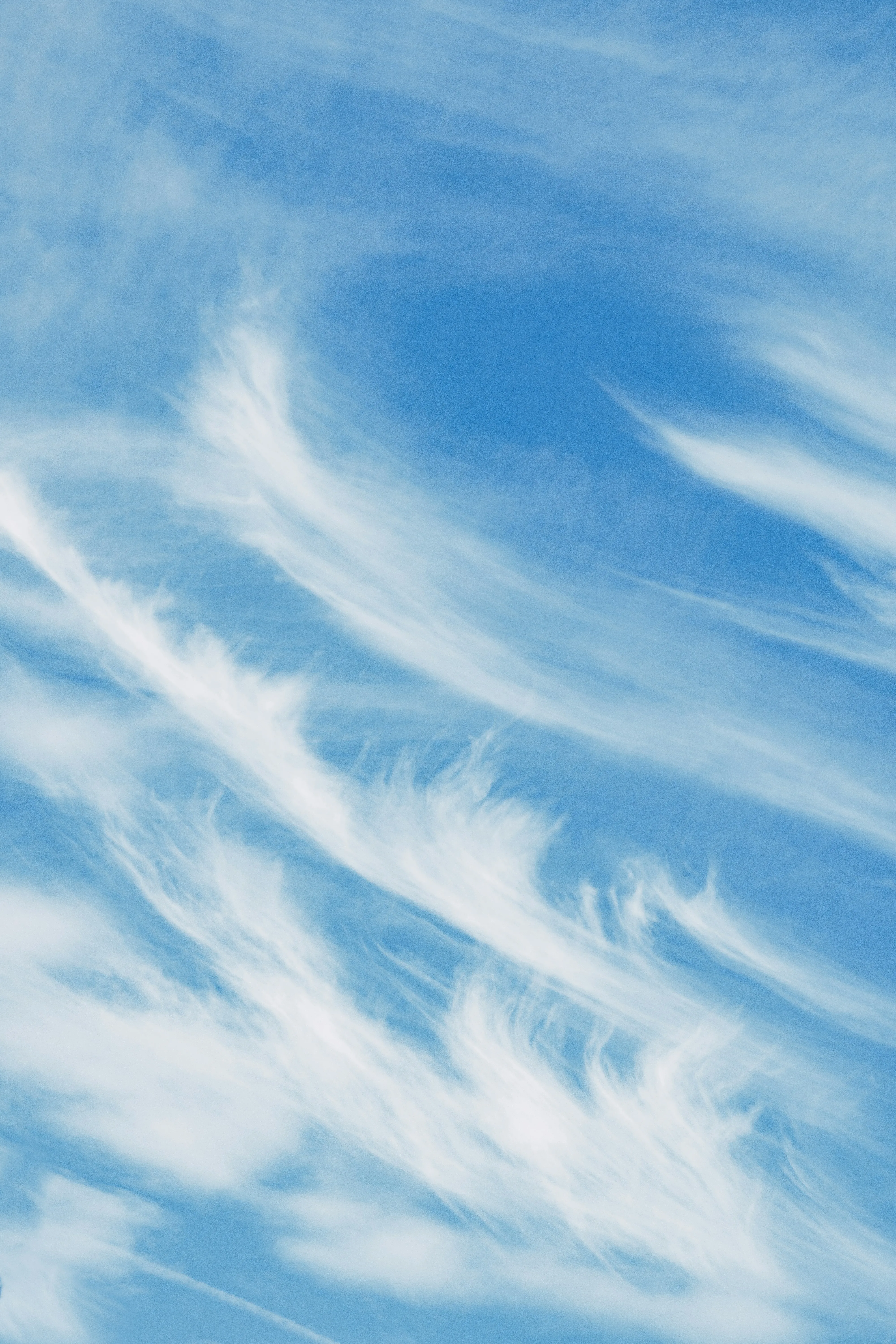 Featherlike Cirrus Clouds Across a Blue Sky Wallpaper