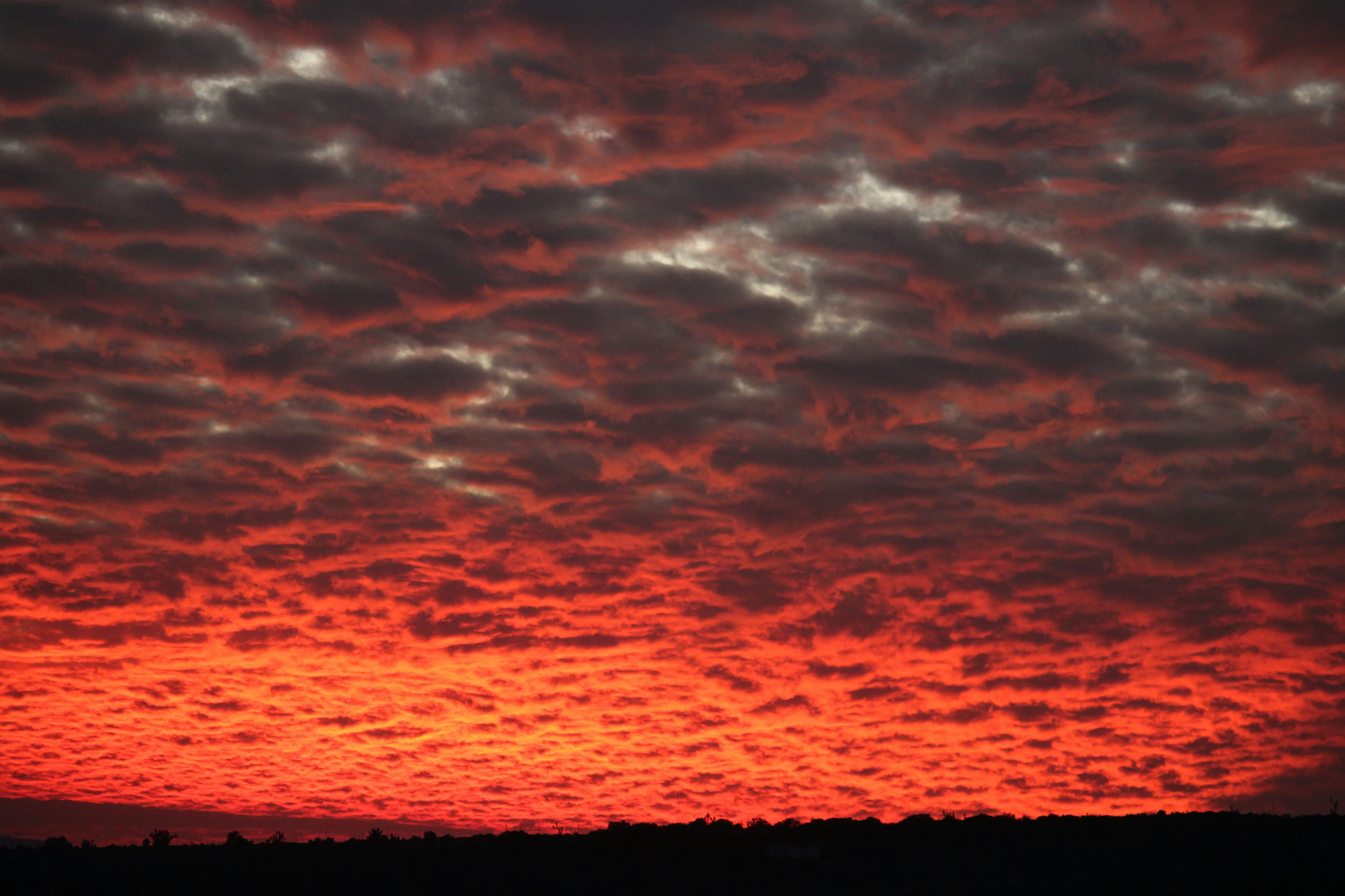Fiery Red Sunset Sky with Dramatic Cloud Formations
