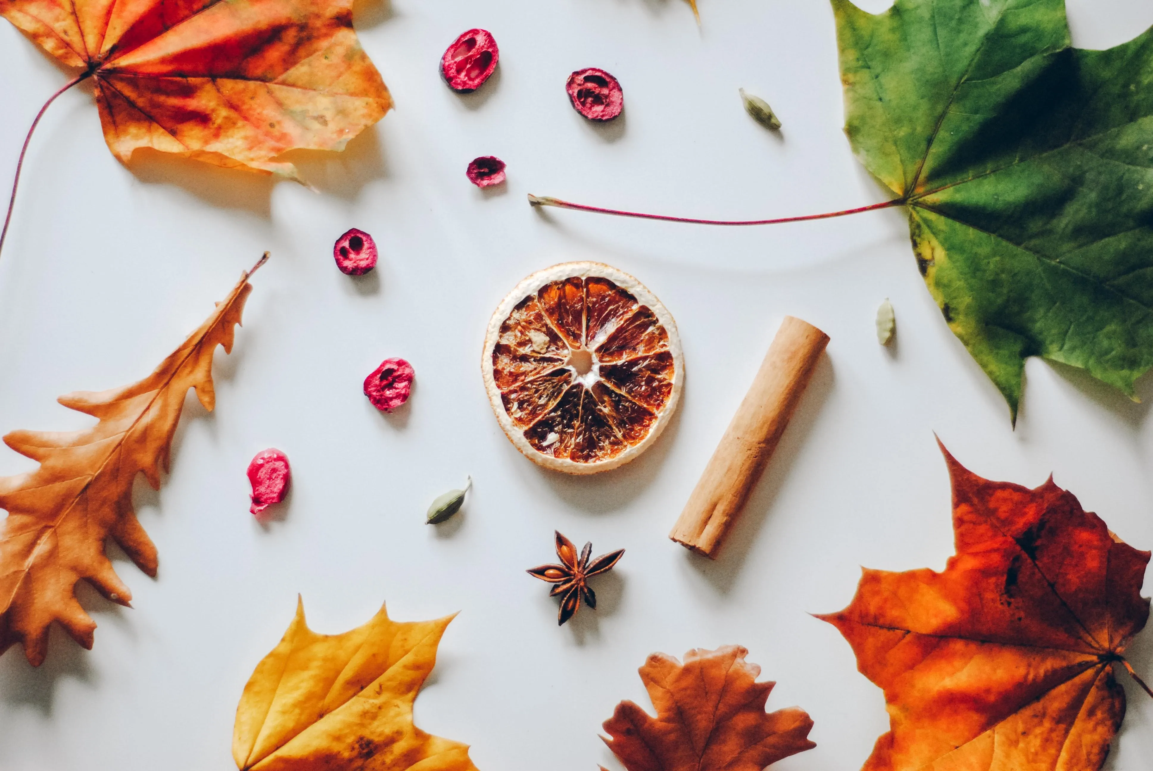 Flat lay of autumn leaves and pumpkin on white background