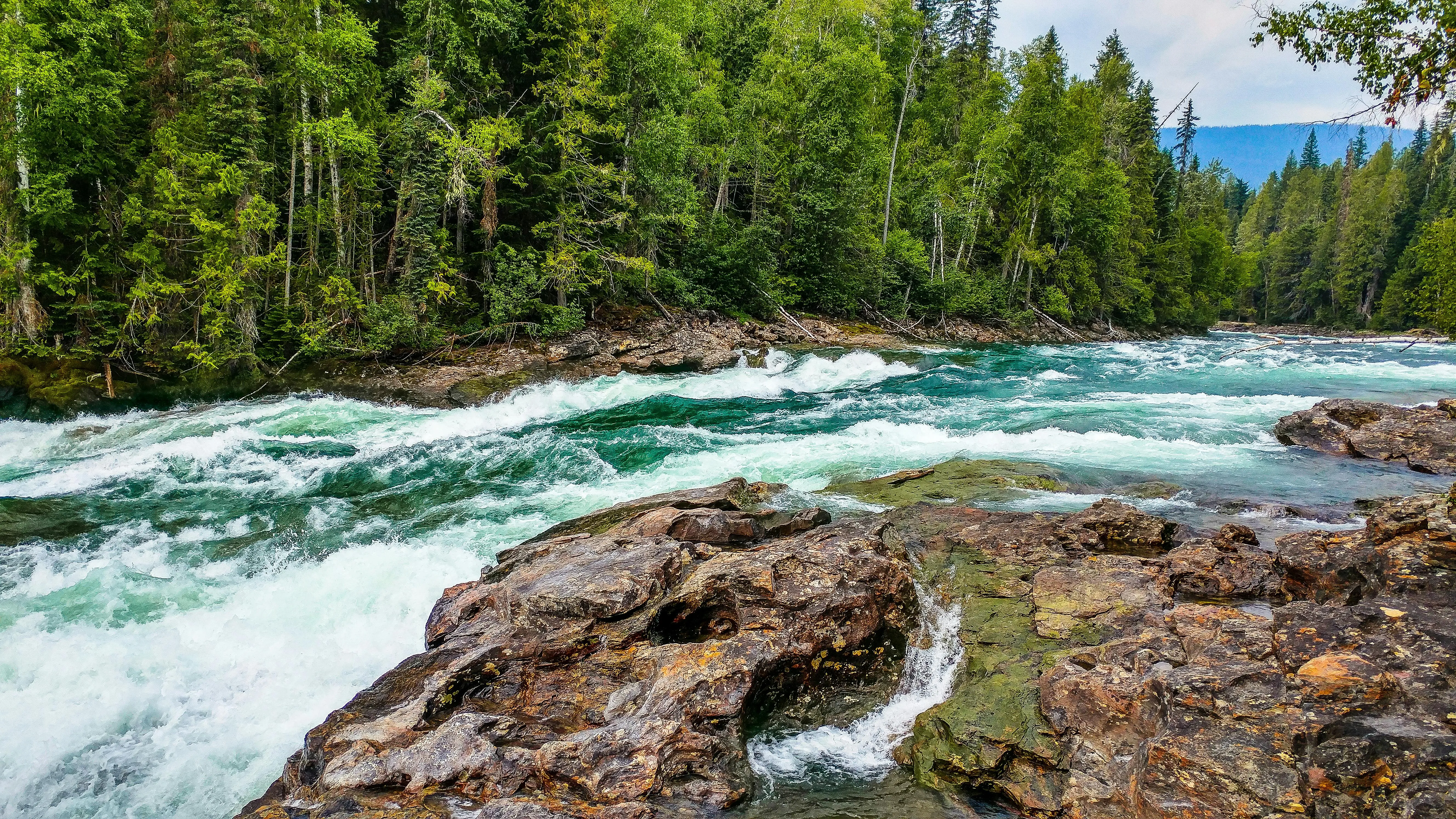 Flowing River Cuts Through Green Forest and Rocky Terrain