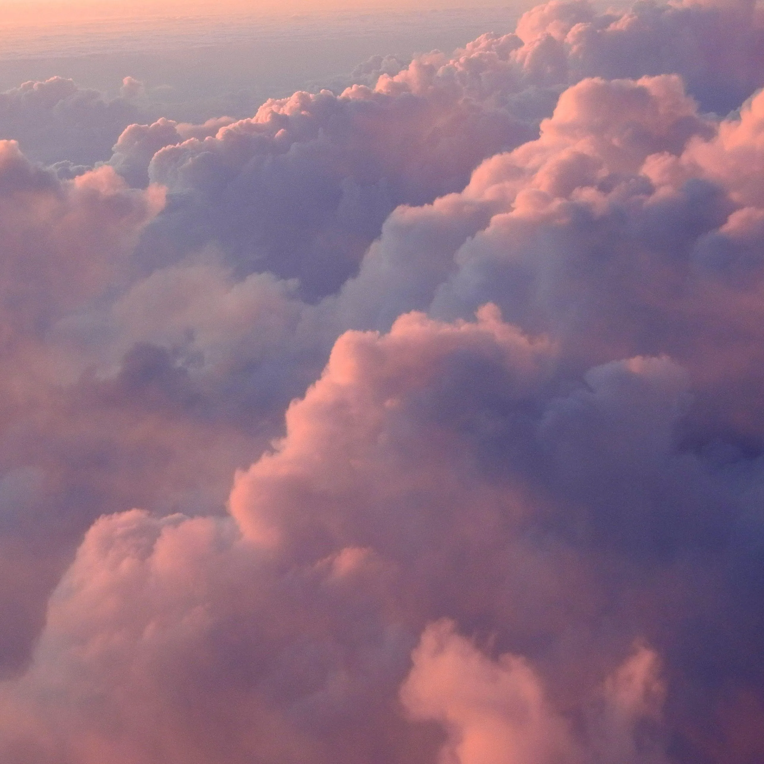 Fluffy Pink Clouds Glow Warmly As the Sun Sets Wallpaper