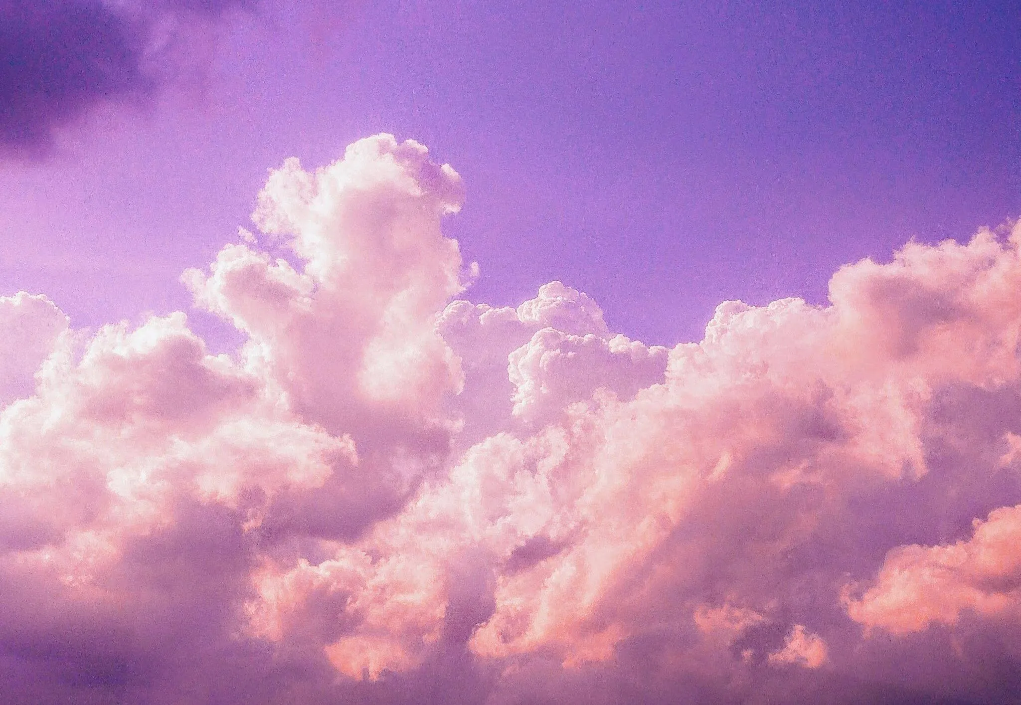 Fluffy Pink Clouds Illuminated By Soft Sunset Light