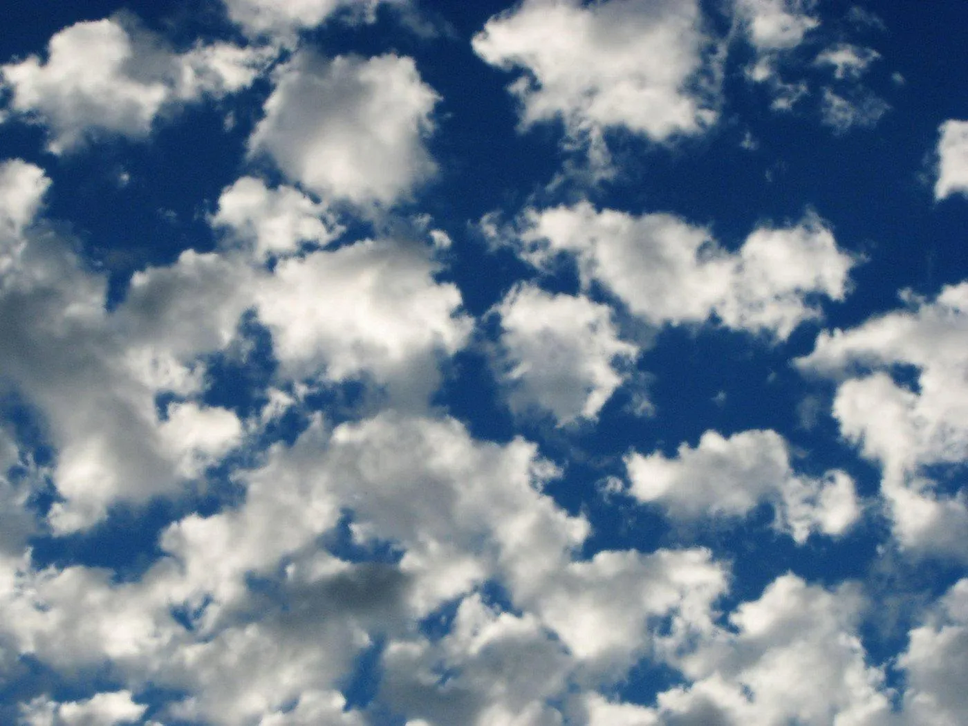 Fluffy White Clouds Scatter Across a Deep Blue Sky View