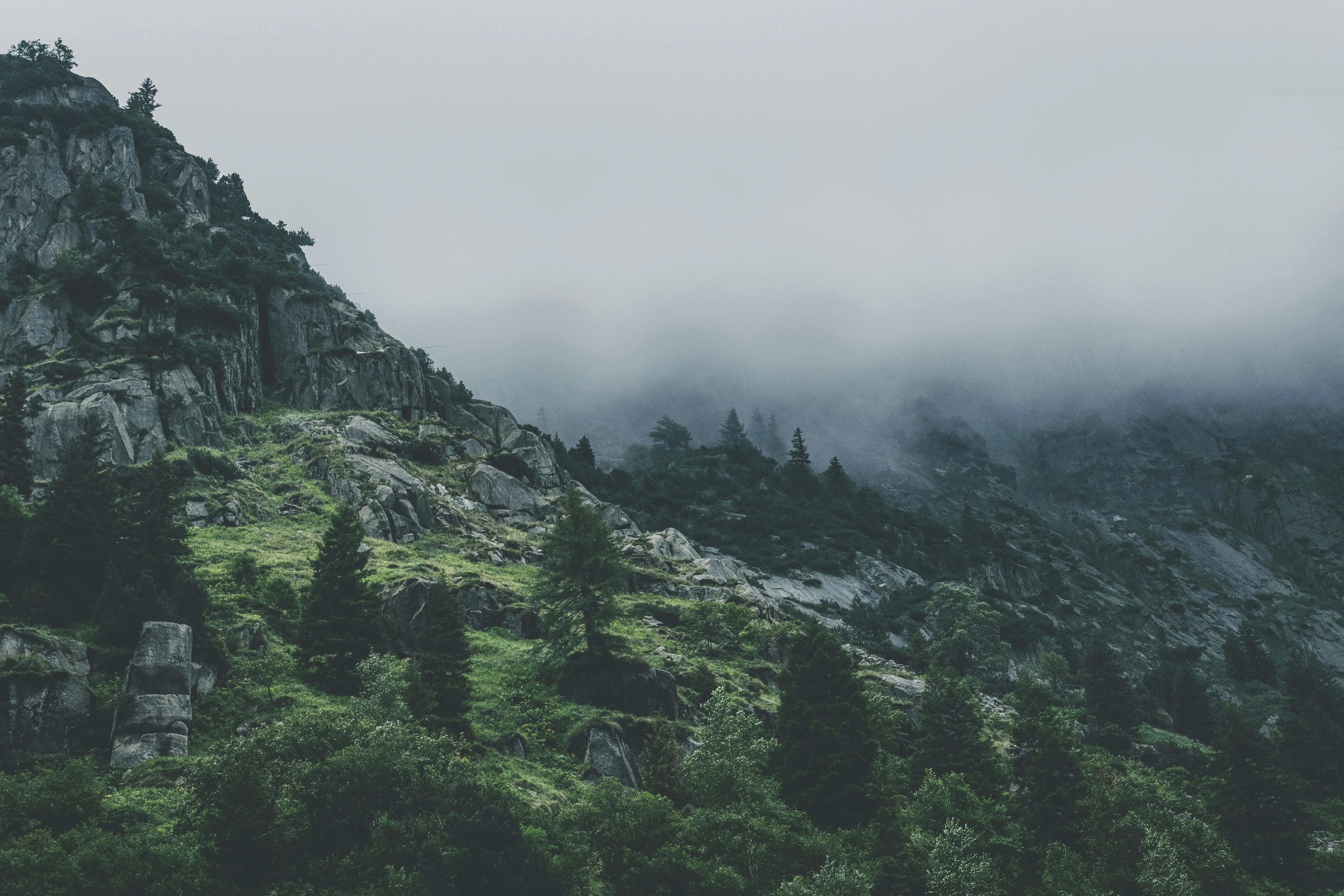 Fog Rolling Over Rocky Mountain Slopes Covered with Trees
