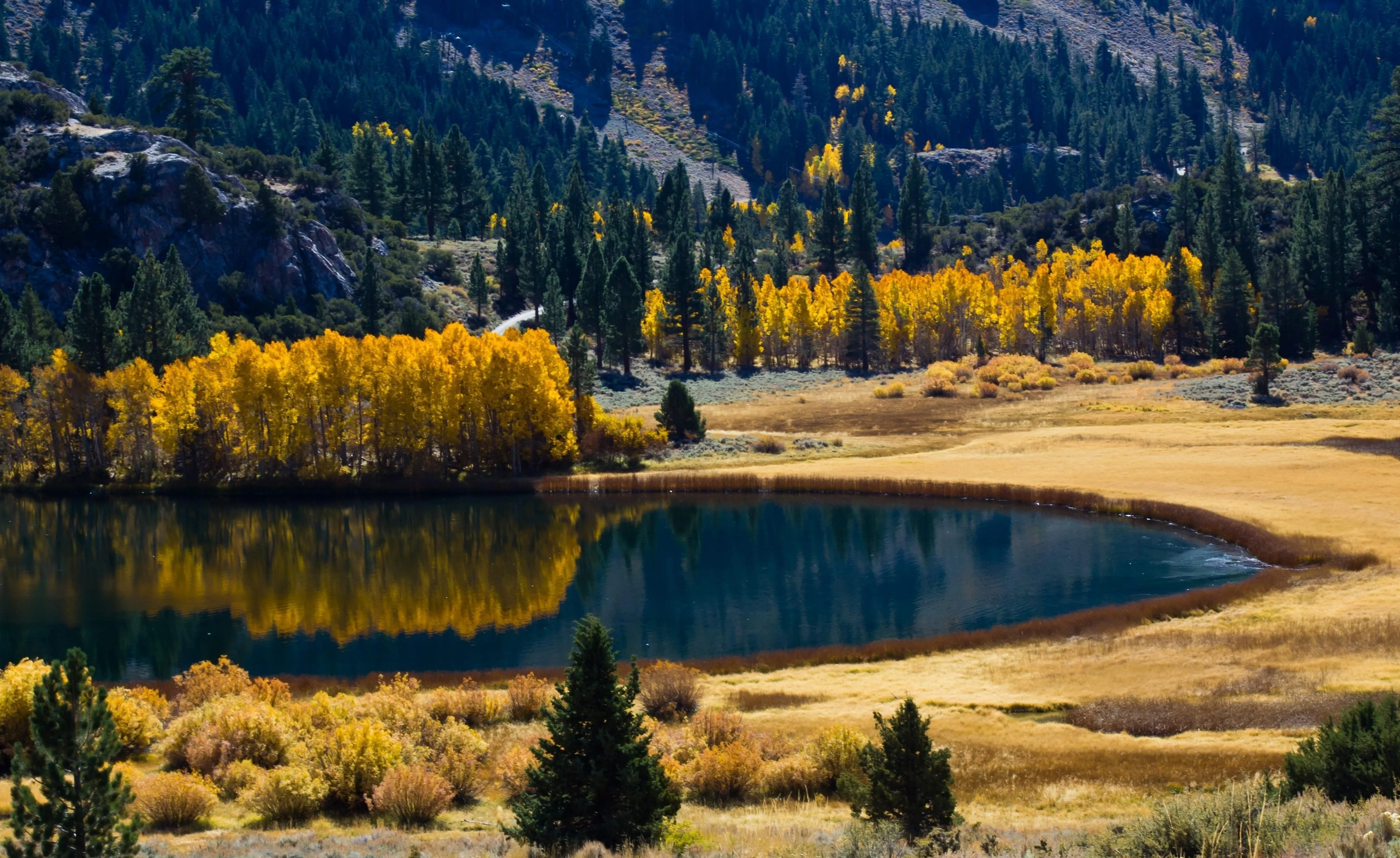 Forest lake reflecting golden autumn trees Wallpaper
