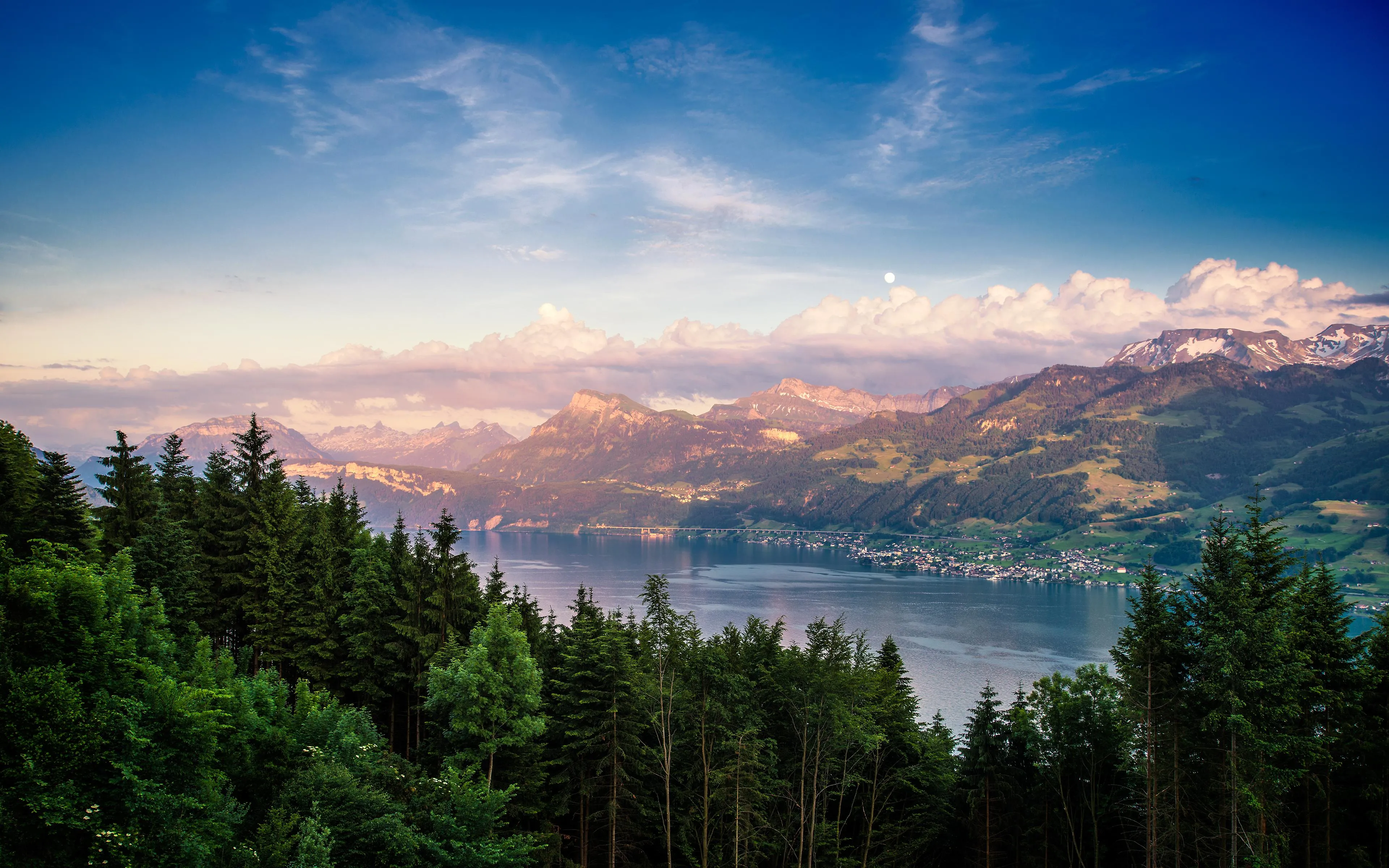 Forest Trees with Mountains under Clear Blue Sky image