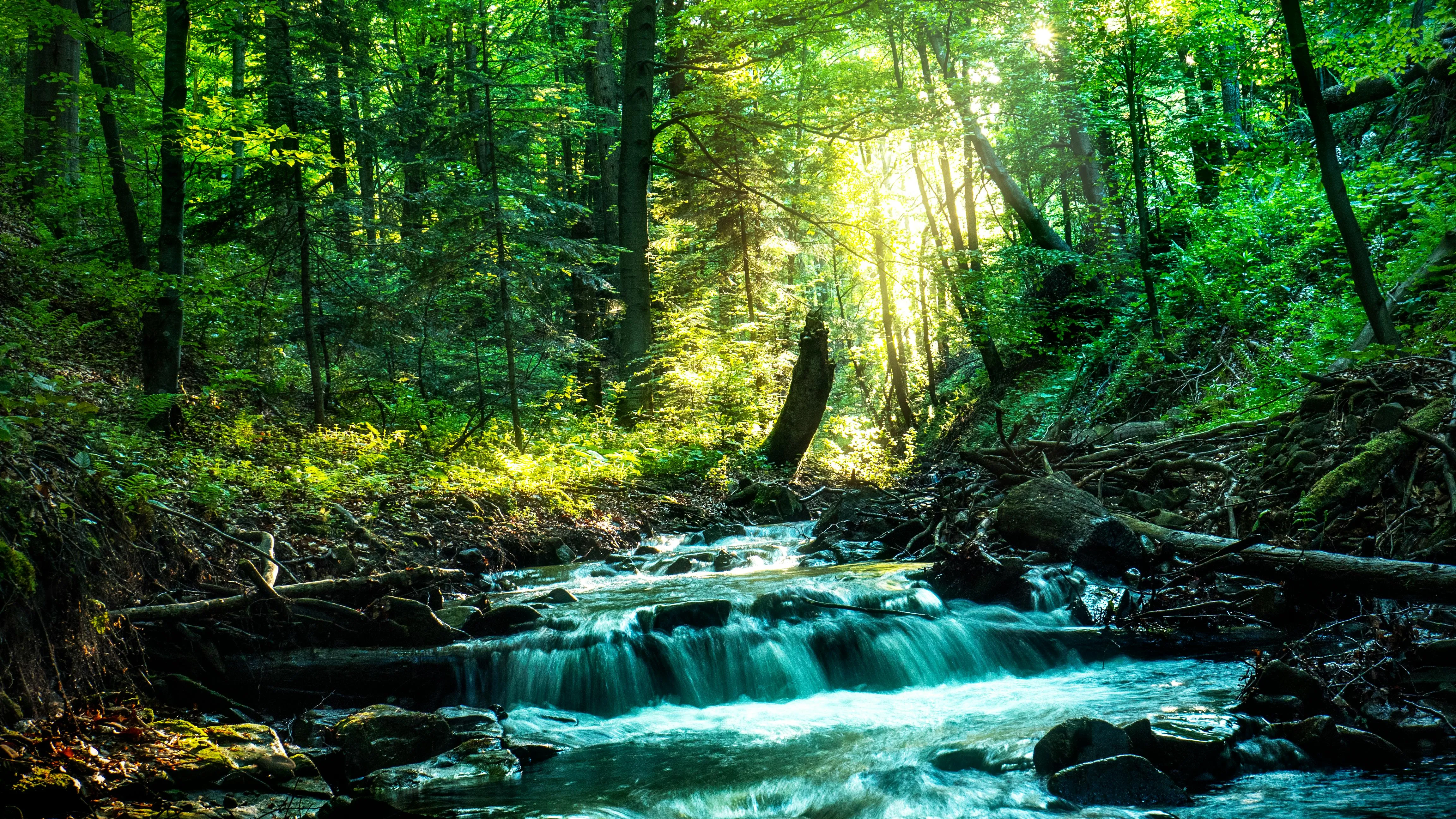 Forest Waterfall Flows Through Mossy Green Rocks Wallpaper