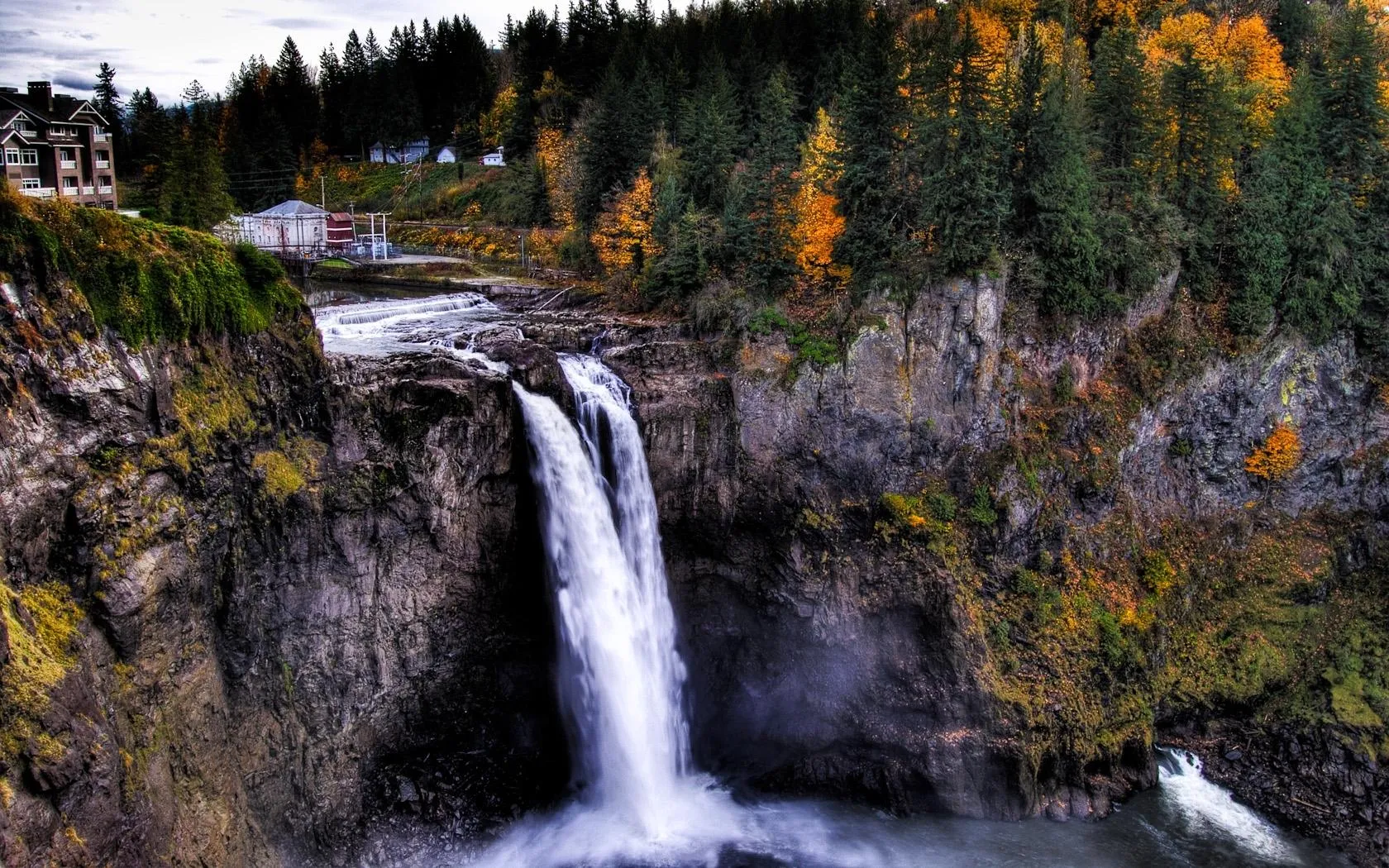 Forest Waterfall Surrounded by Autumn Trees image