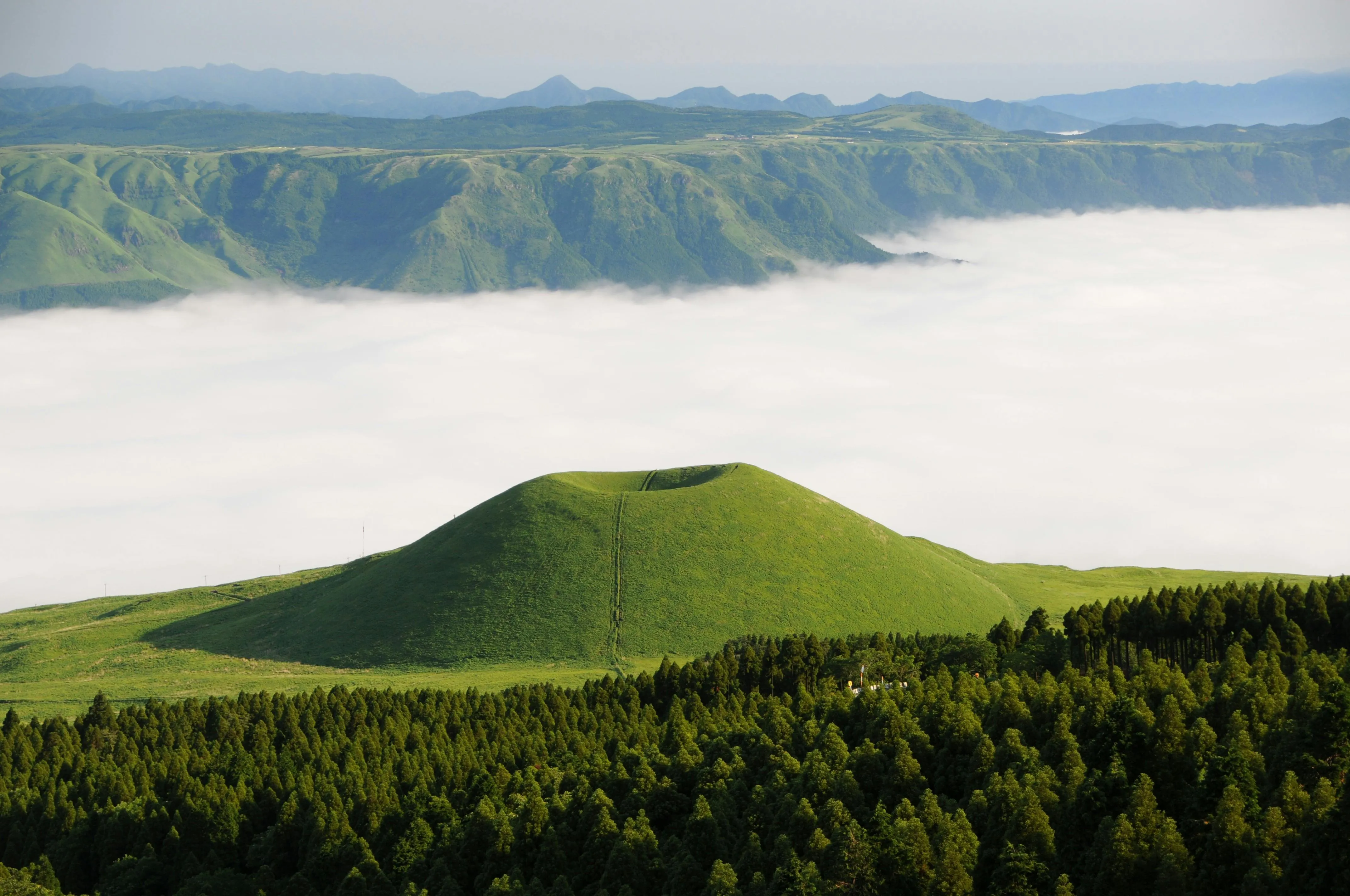 Forested Mountain Above Clouds in Morning Sunlight Wallpaper