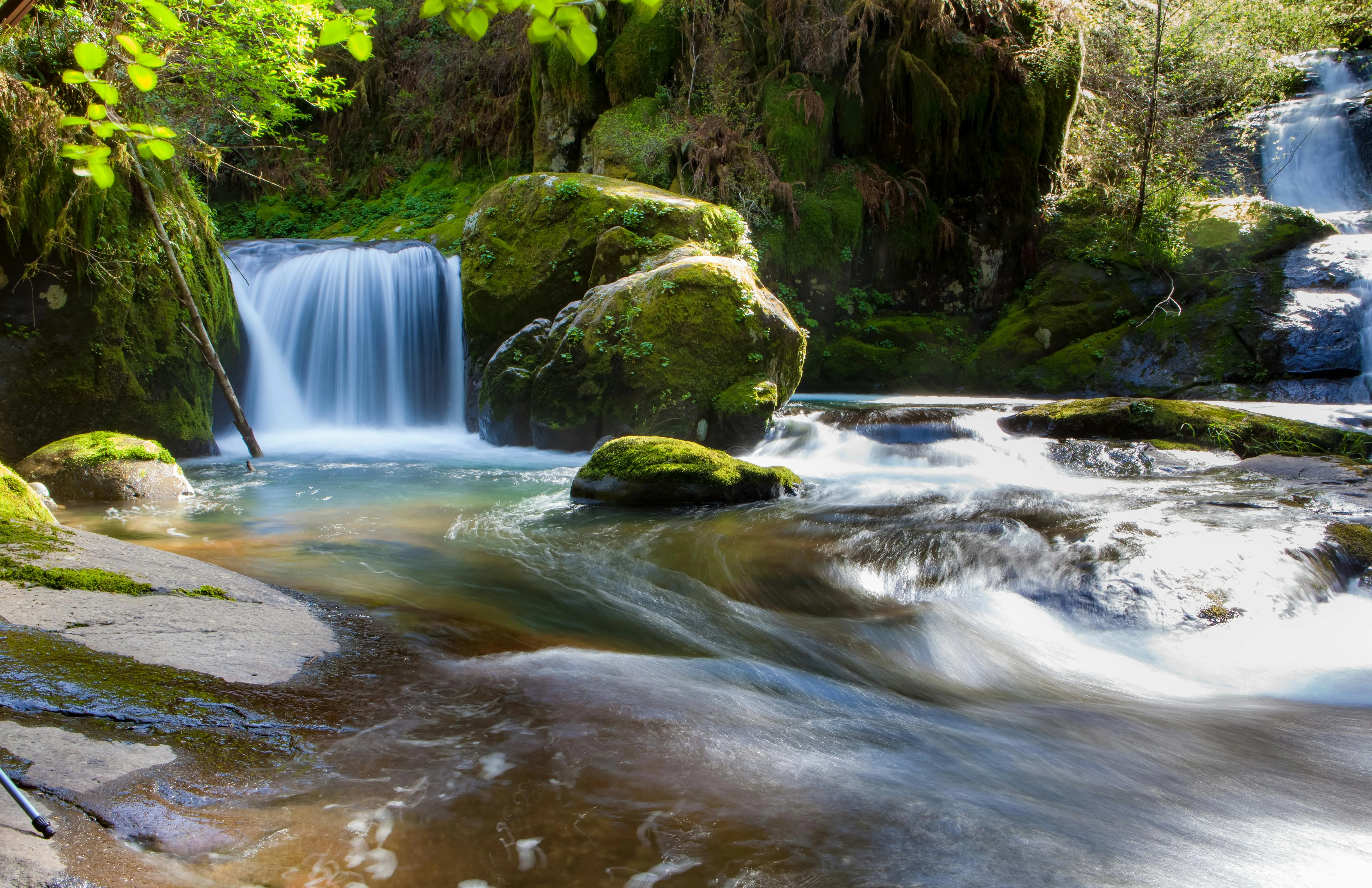 Gentle Forest Waterfall Flows Over Moss Covered Stones