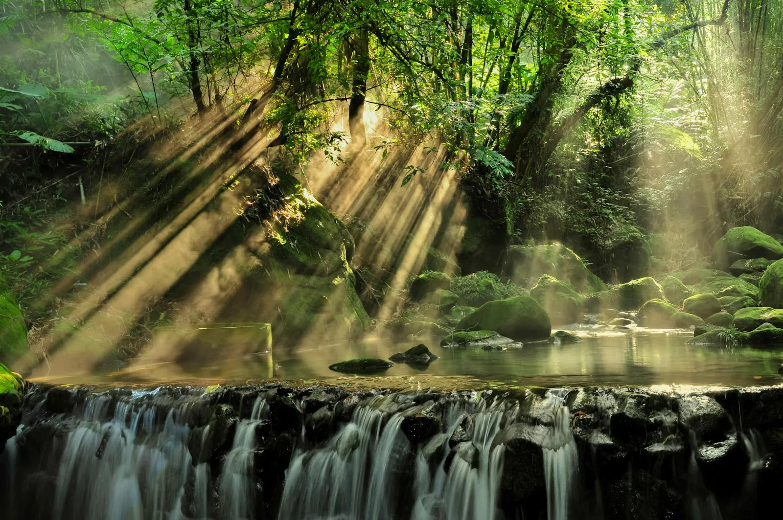 Gentle Waterfall Glowing with Sun Rays Through the Forest