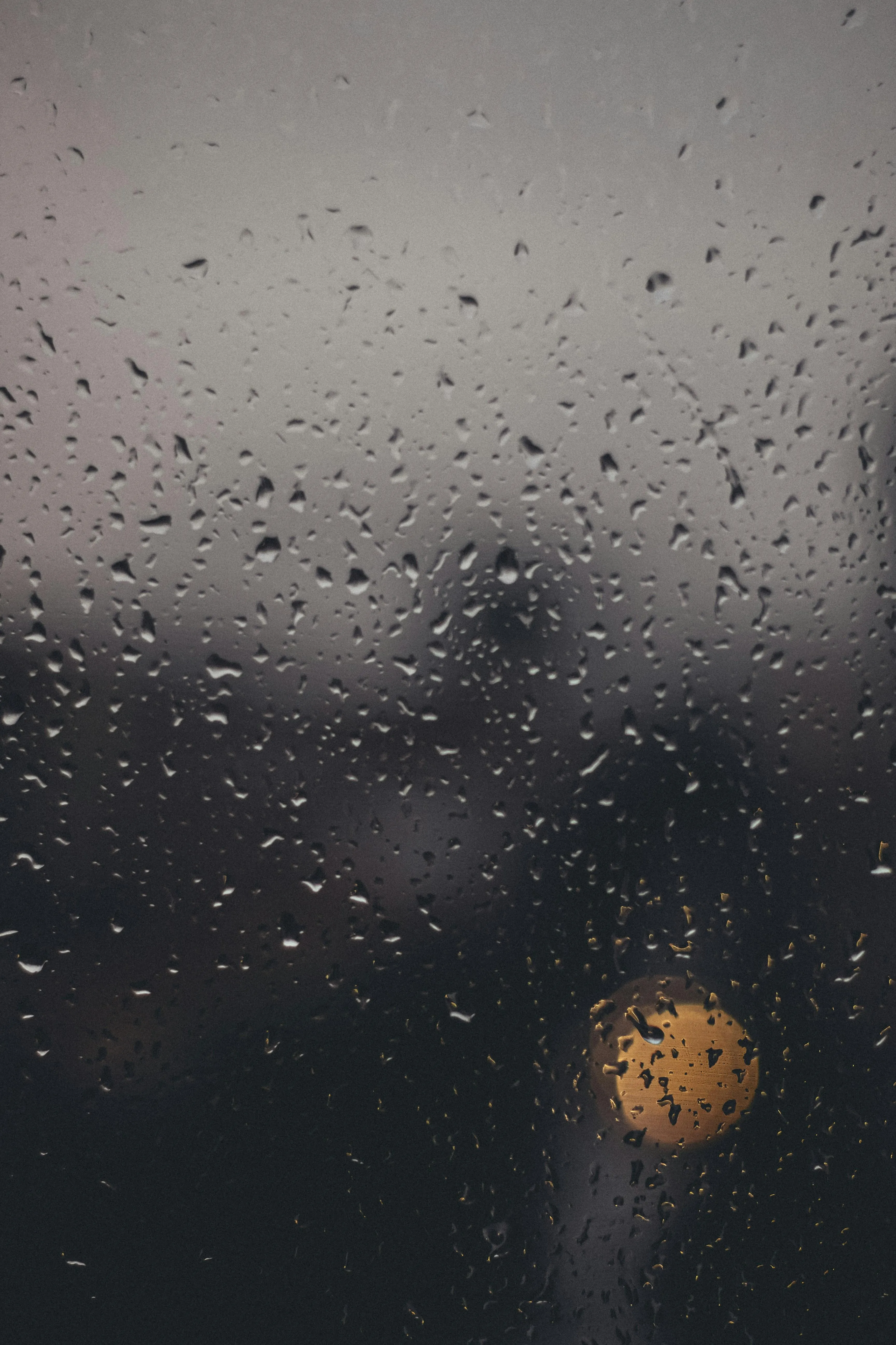 Glass Door Covered with Rain Overlooking Tall Trees