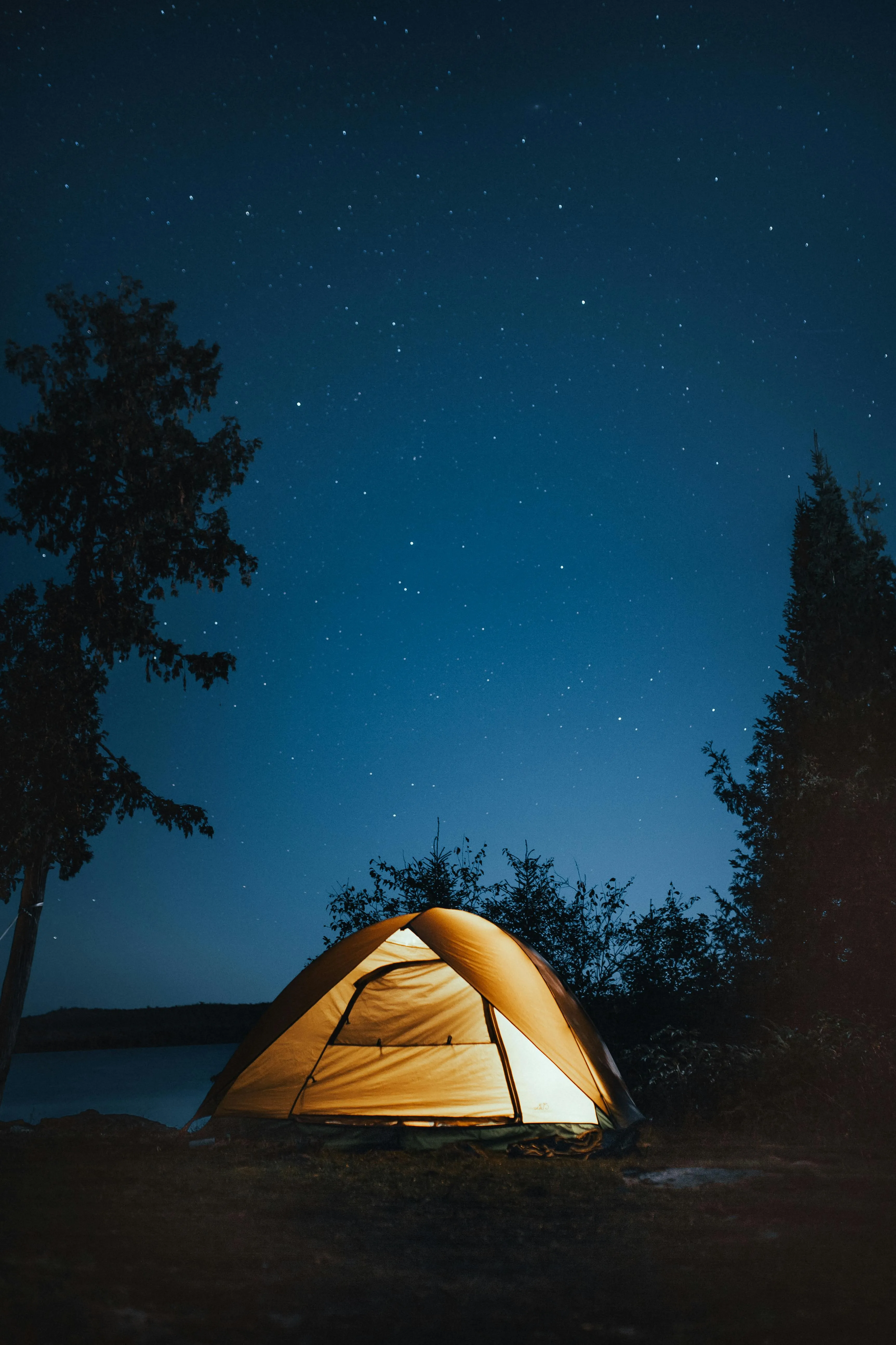 Glowing Tent Set Up Under Stars in a Quiet Nighttime Forest