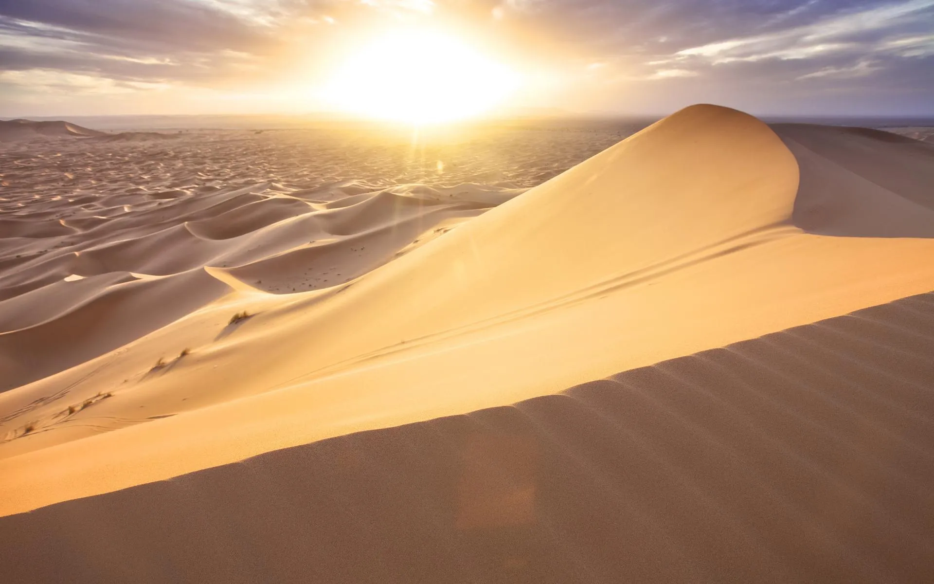 Golden desert dunes glowing in the warm sunlight image