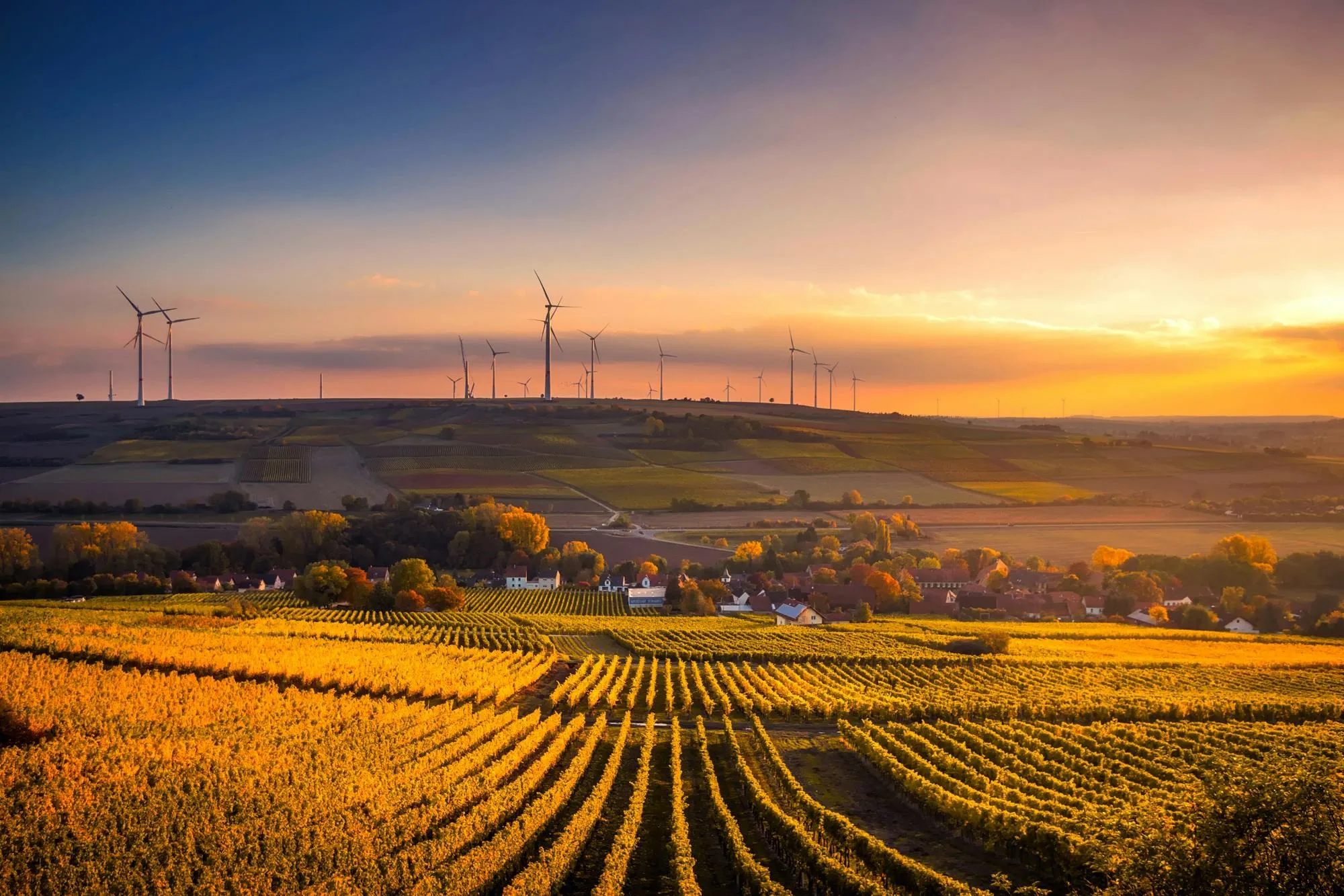 Golden Farmland Landscape with Wind Turbines at Sunset