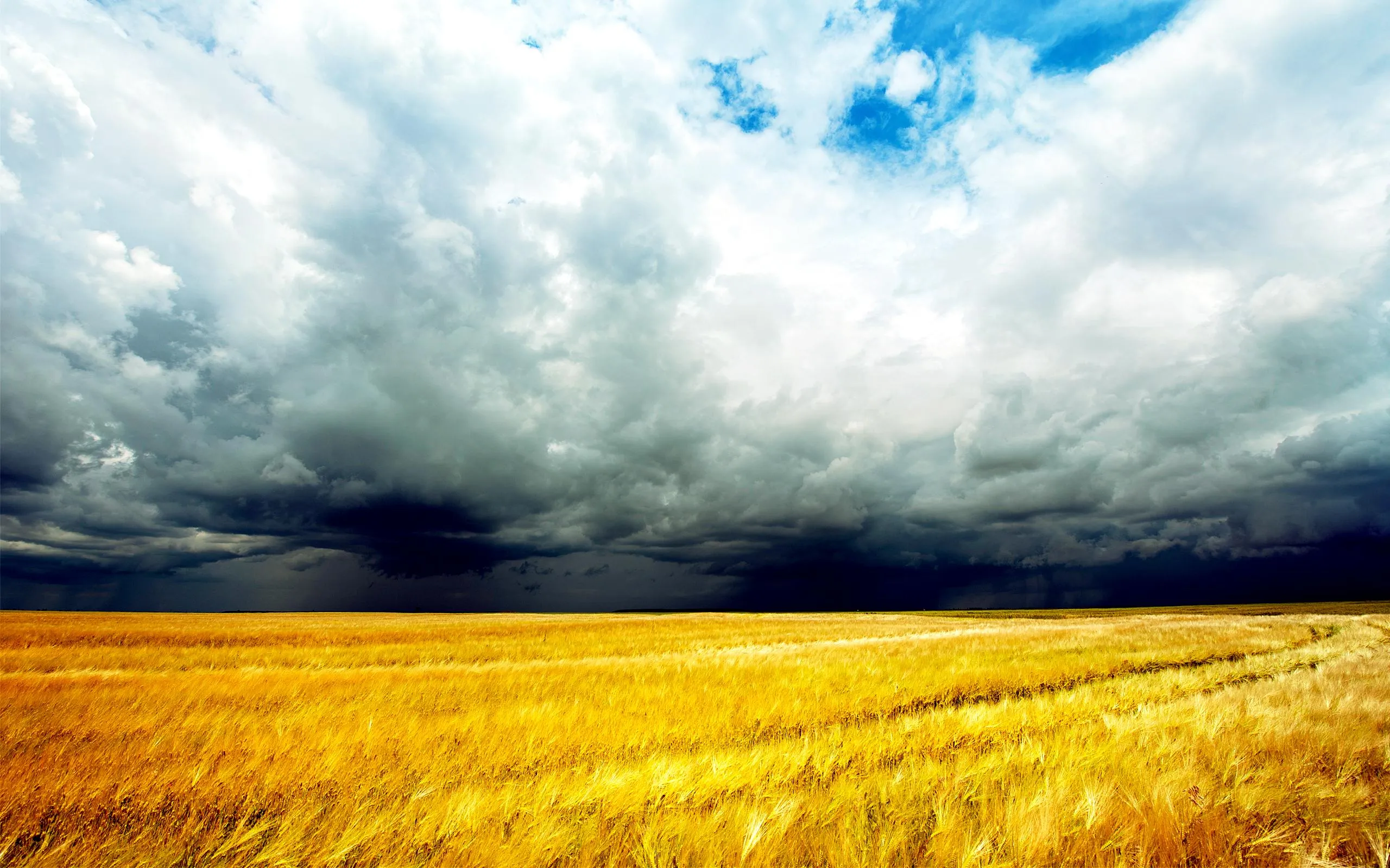 Golden Field with Dark Storm Clouds Gathering Above
