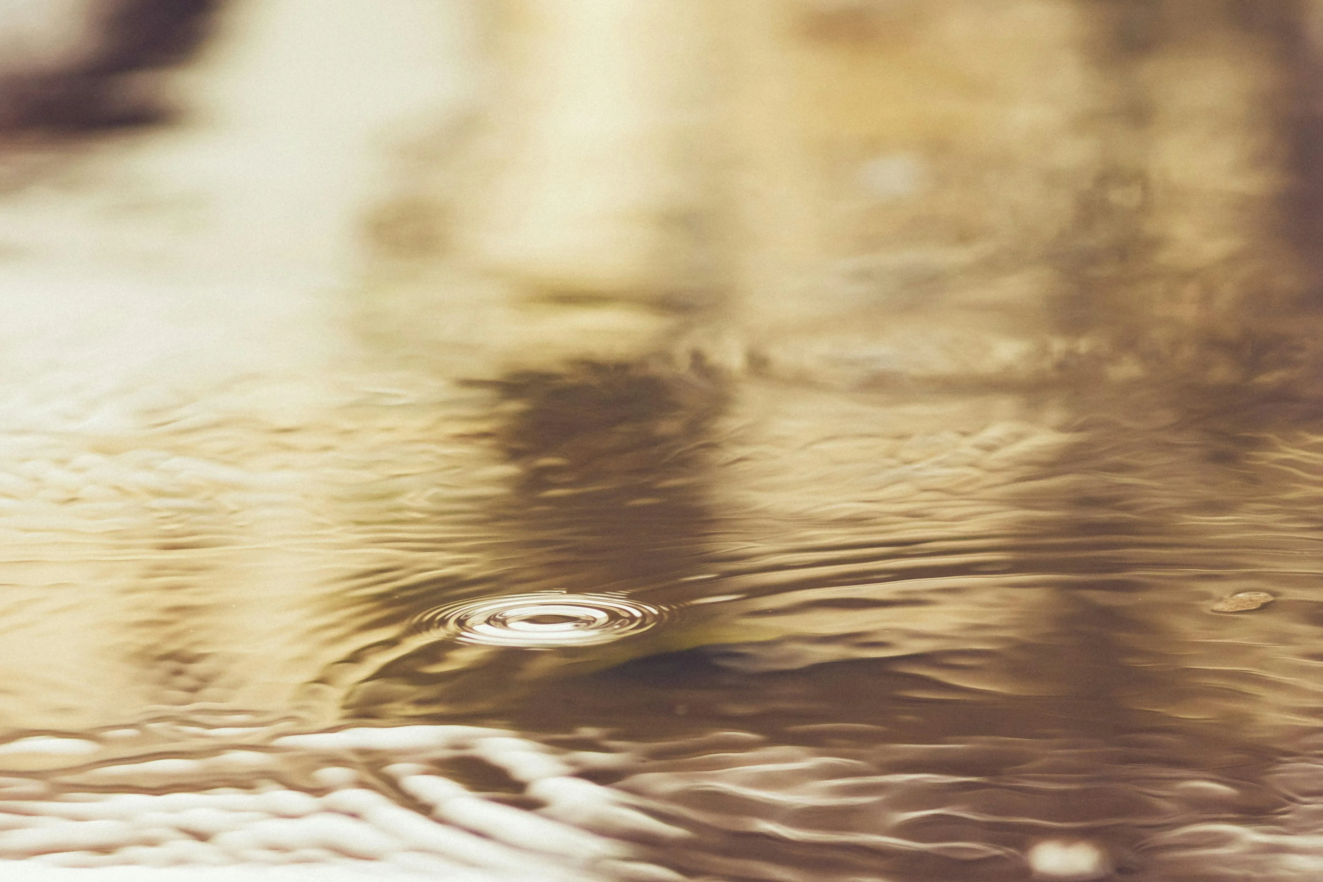 Golden Reflections of Rain on a Calm Water Surface
