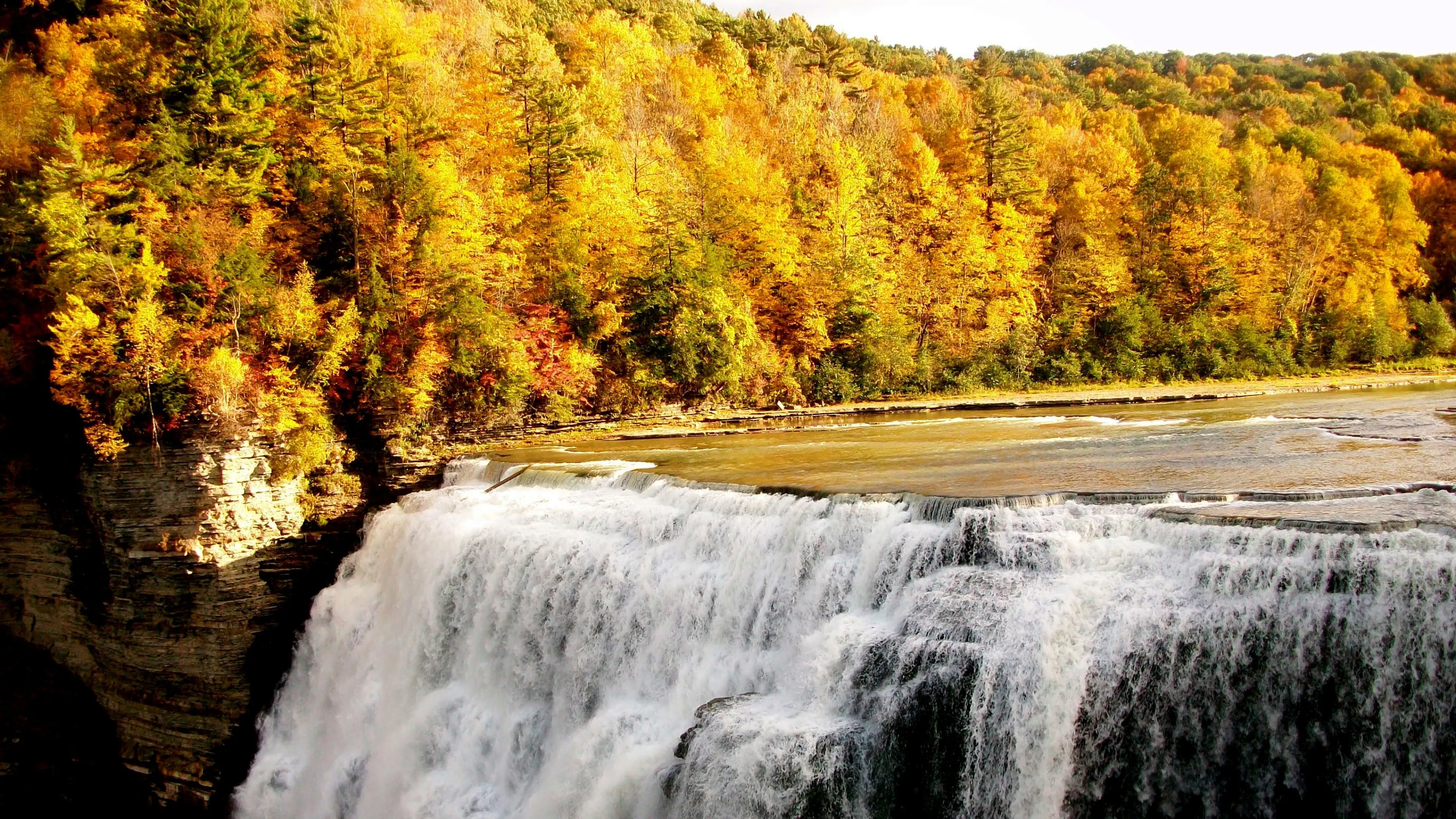 Golden Trees and a Large Waterfall in a Bright Forest View