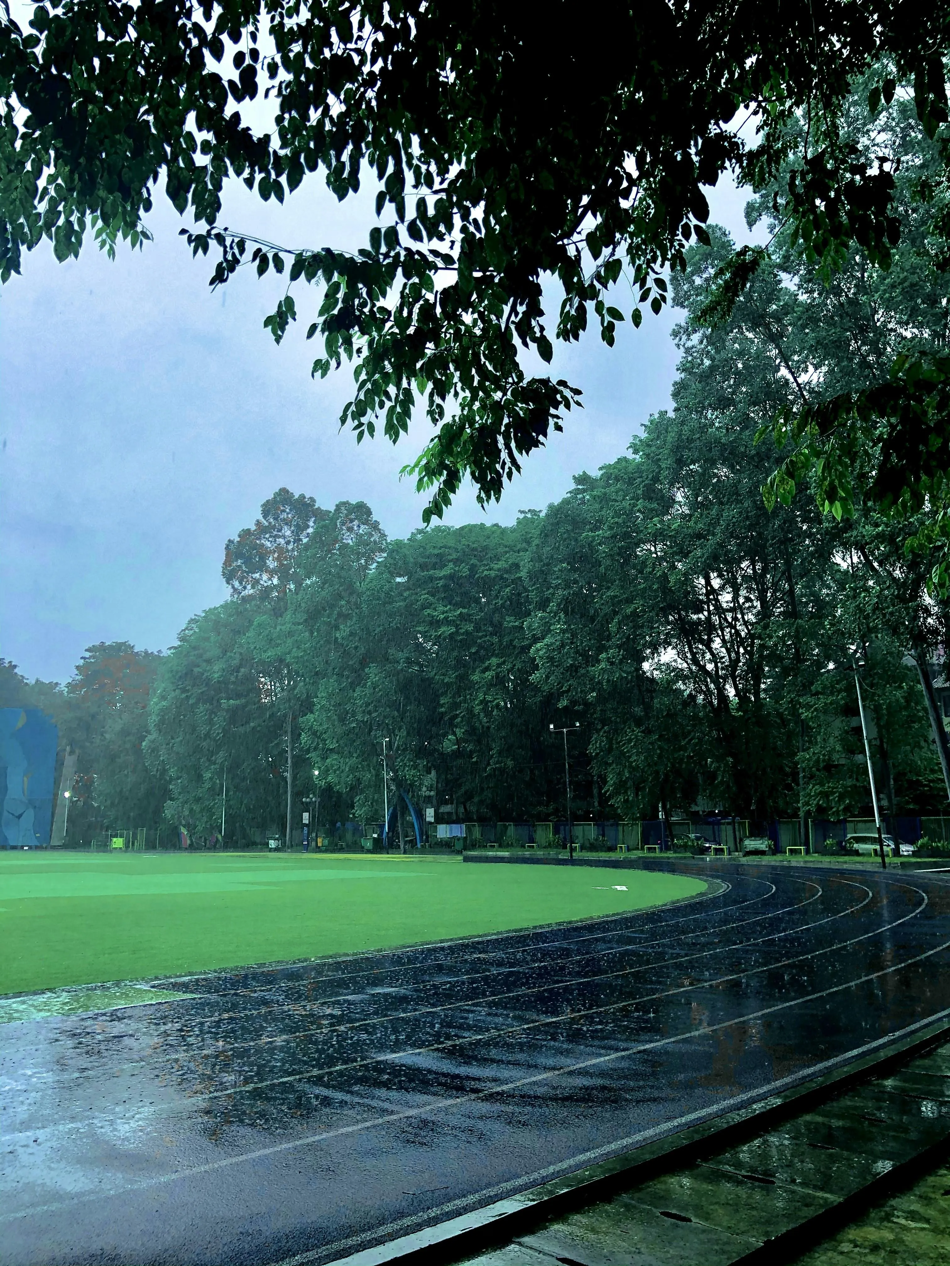 Grassy Field and Tree During Light Spring Rain Wallpaper