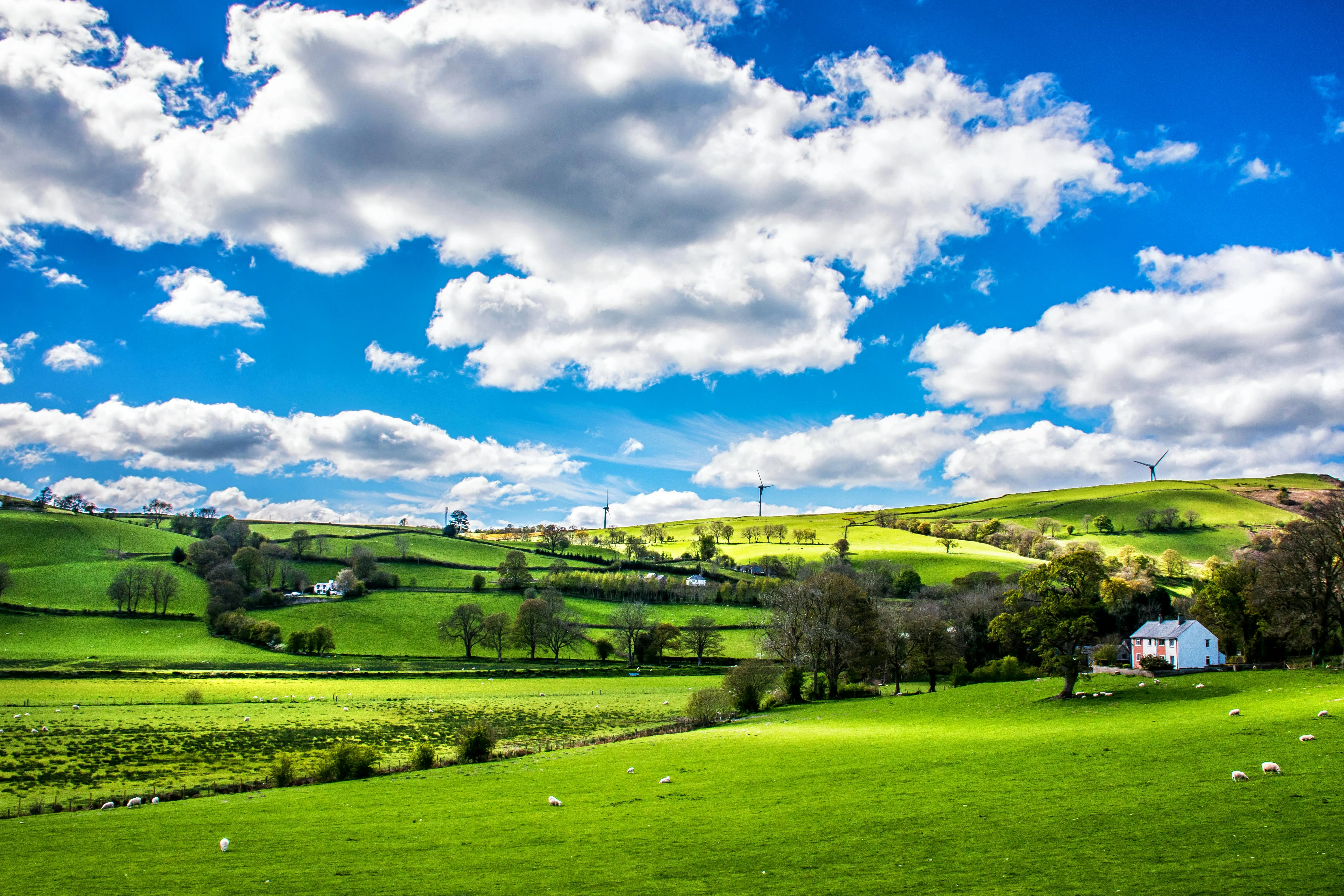 Green Countryside with White Clouds Against Blue Sky