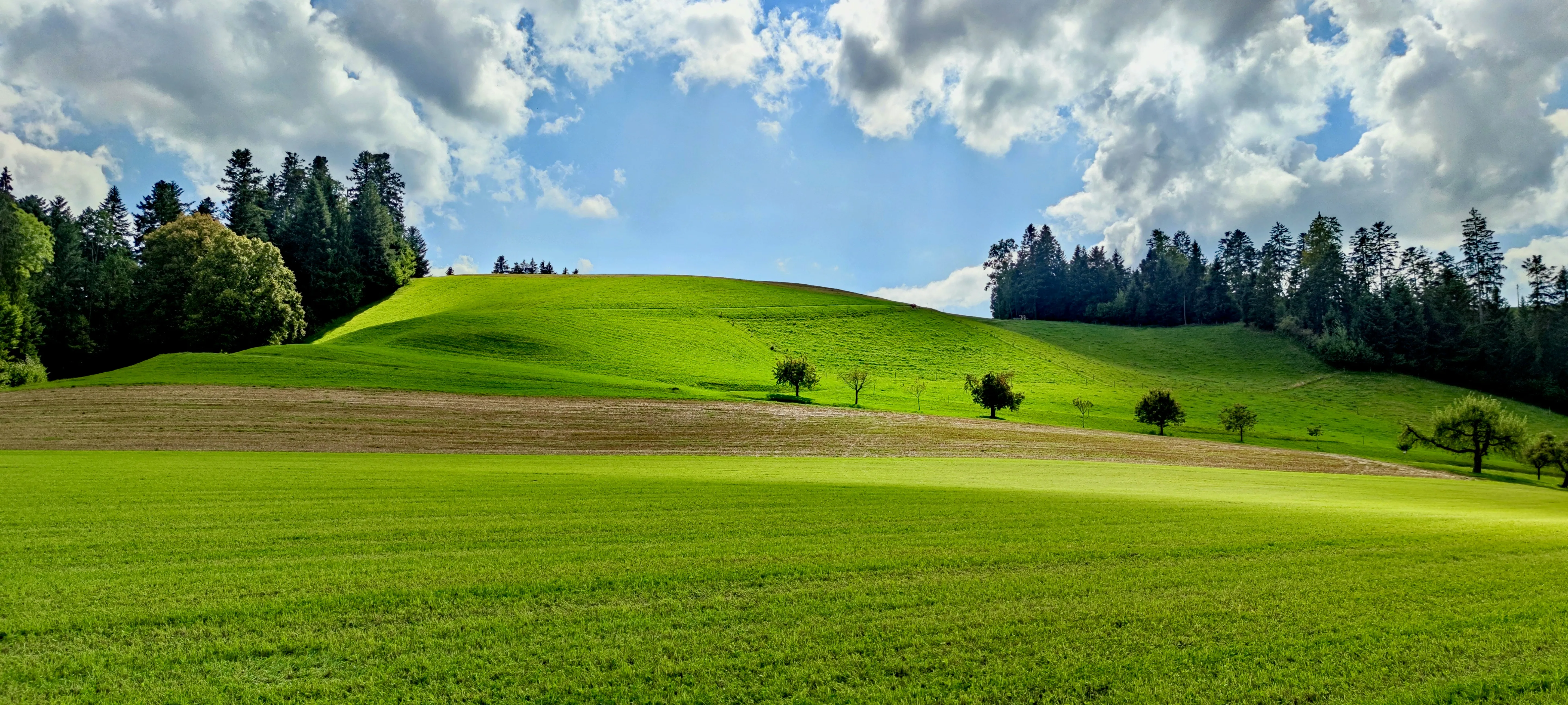Green Field and Rolling Hills Under Blue Sky with Clouds