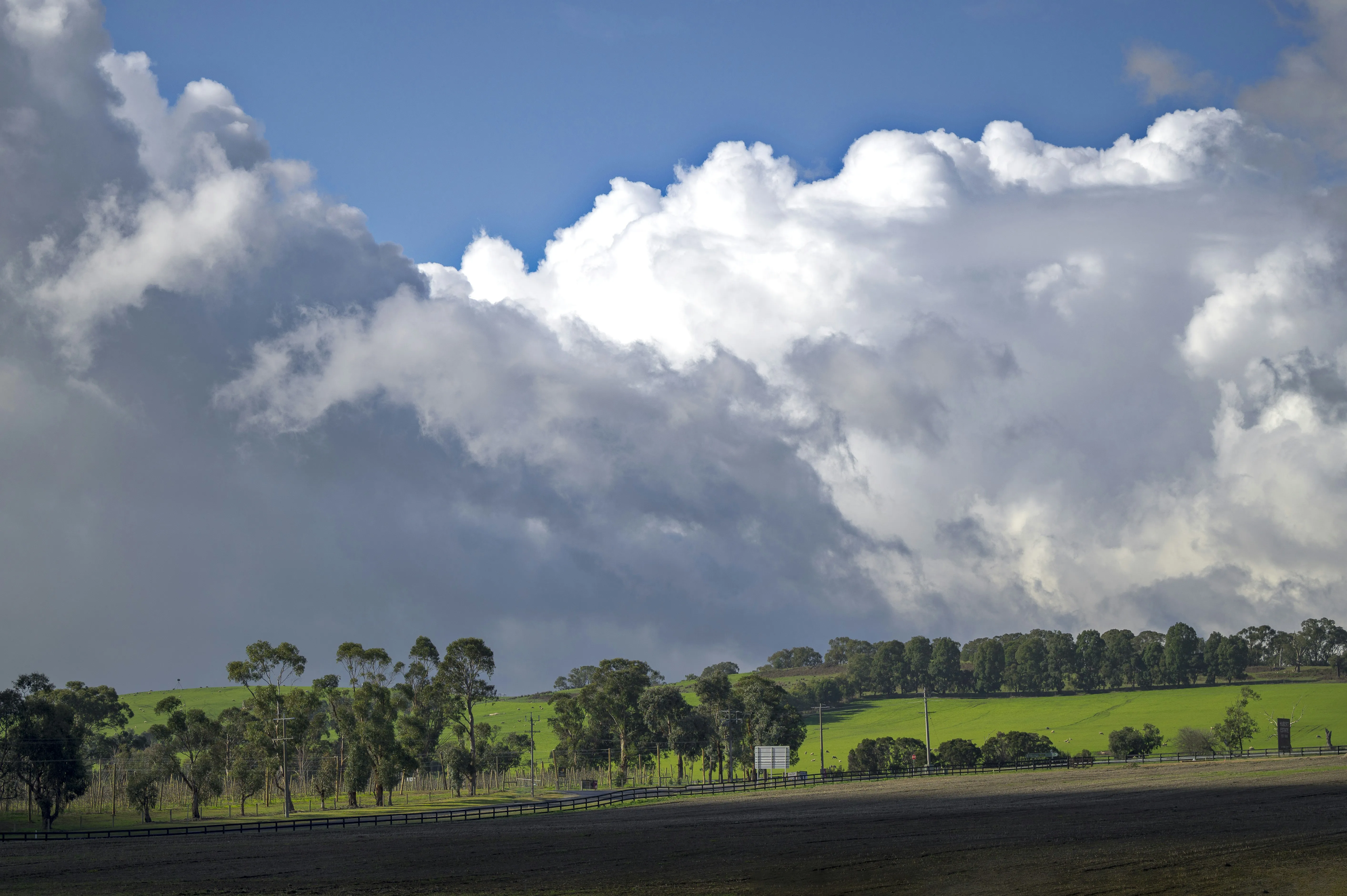 Green Field Under Blue Sky Filled with White Clouds 4K