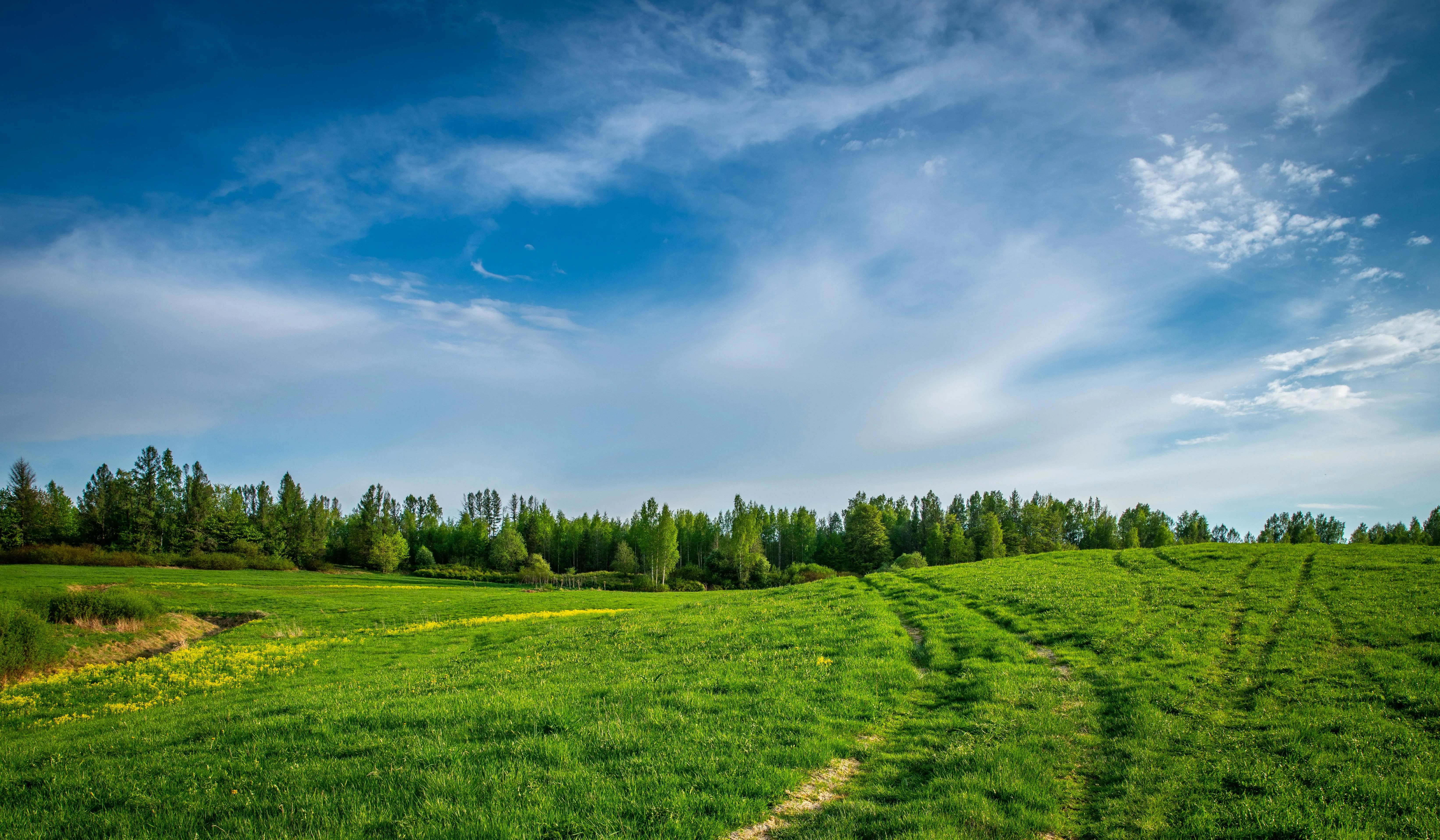 Green Field Under Bright Blue Sky with Few White Clouds
