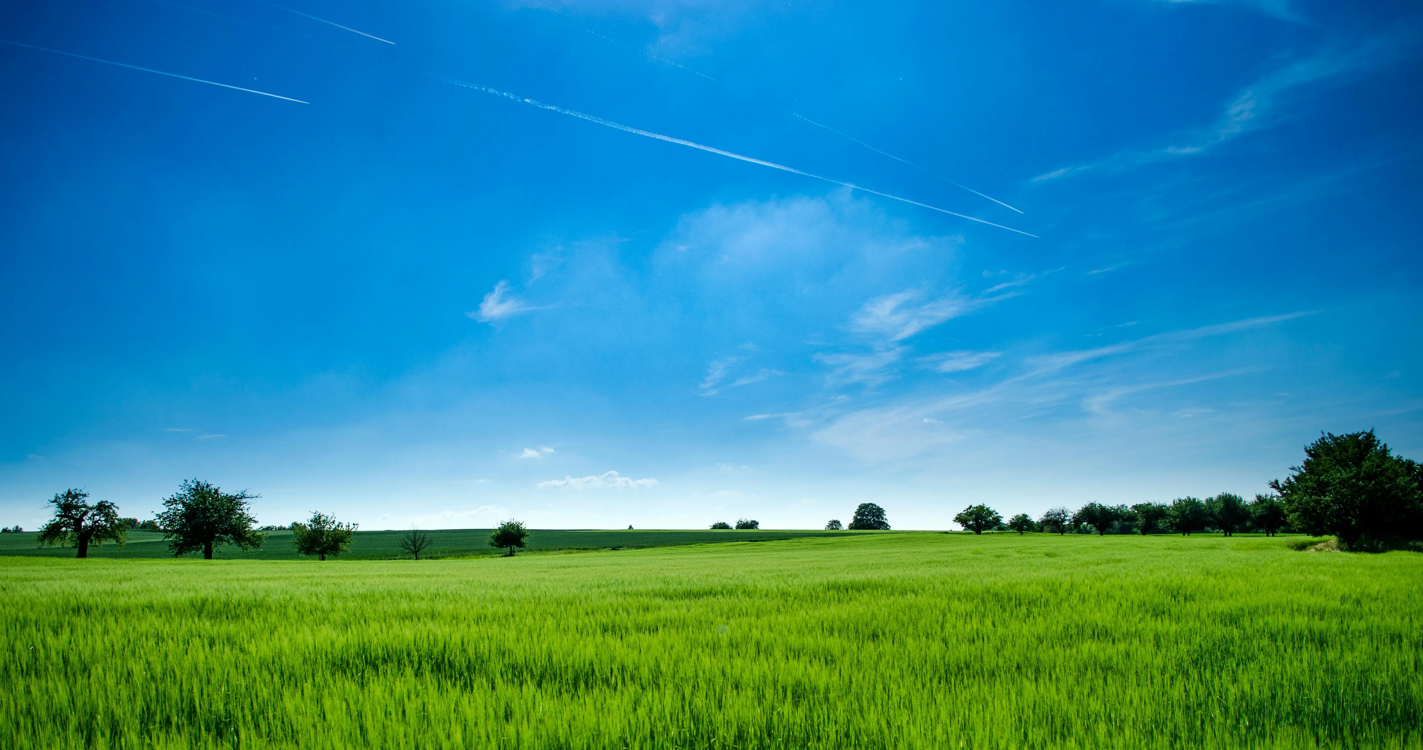 Green Field with Bright Blue Sky and Scattered Clouds Iimage
