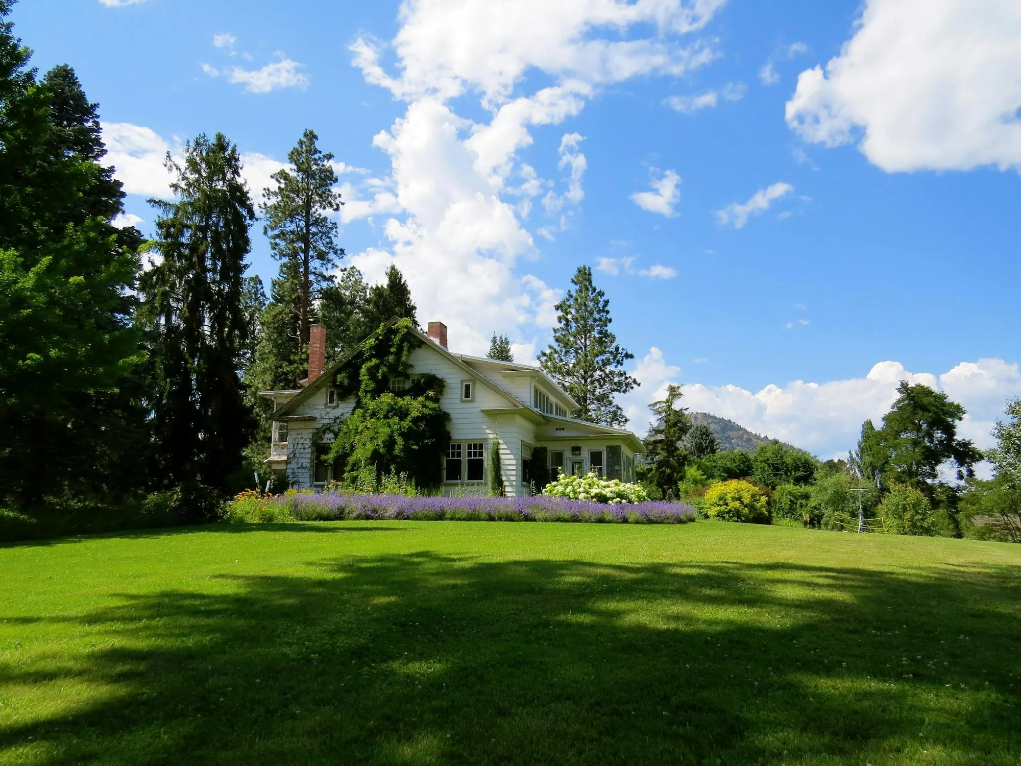 Green Garden and Trees Under Blue Sky with Clouds Wallpaper