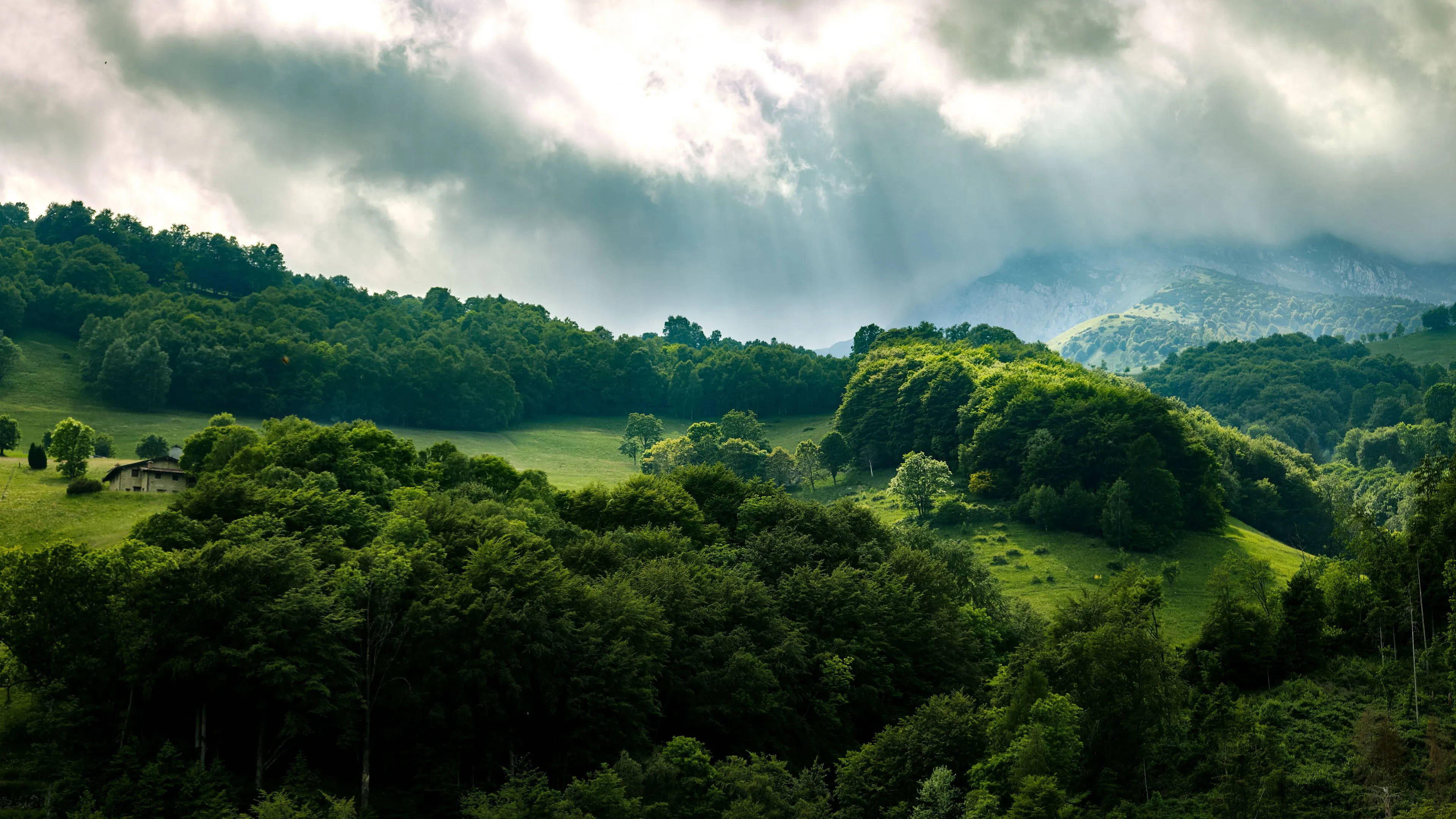 Green Hills and Valleys with a Forest Under a Cloudy Sky