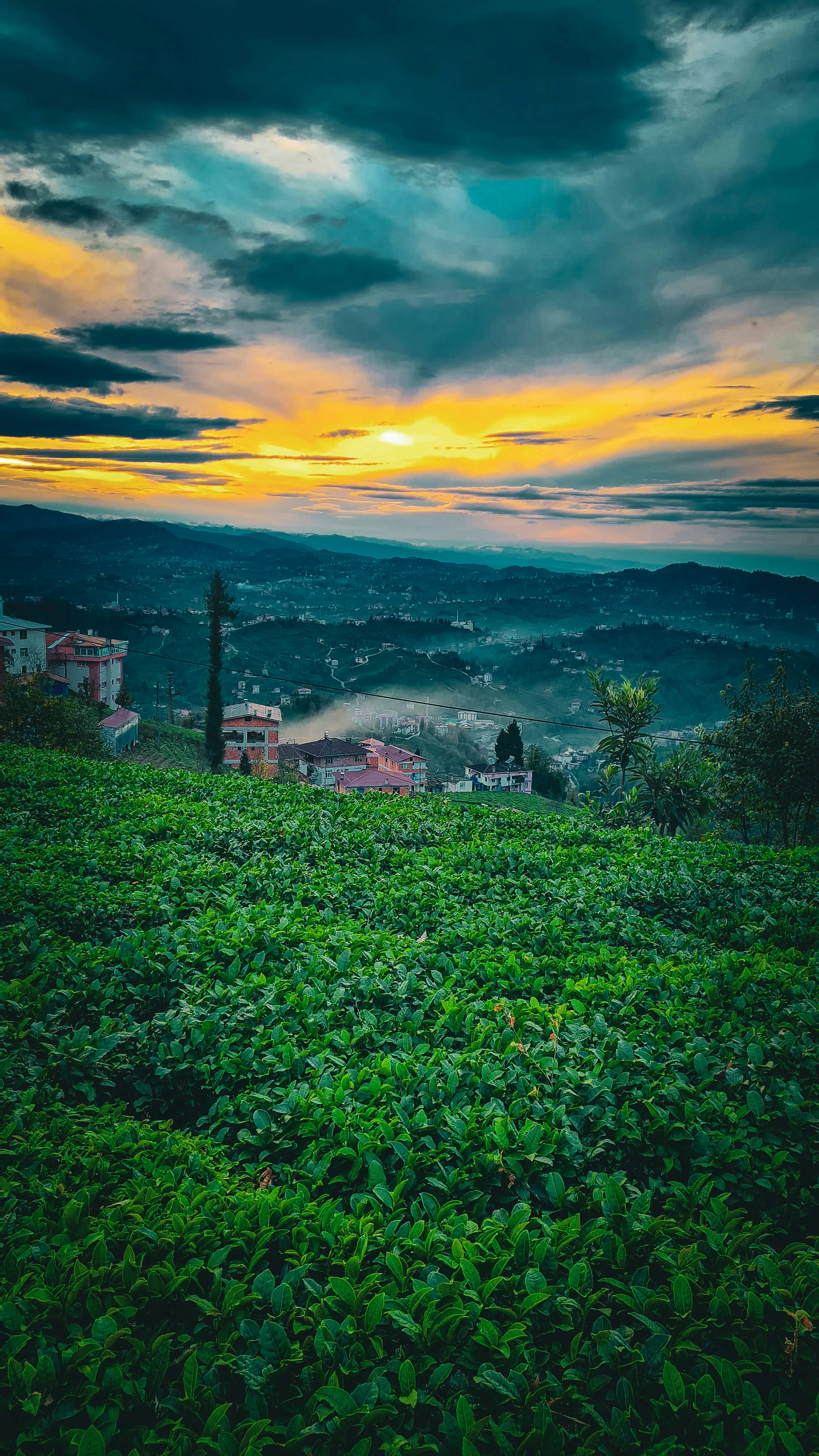 Green Hillside at Sunset with Dramatic Sky Above Image