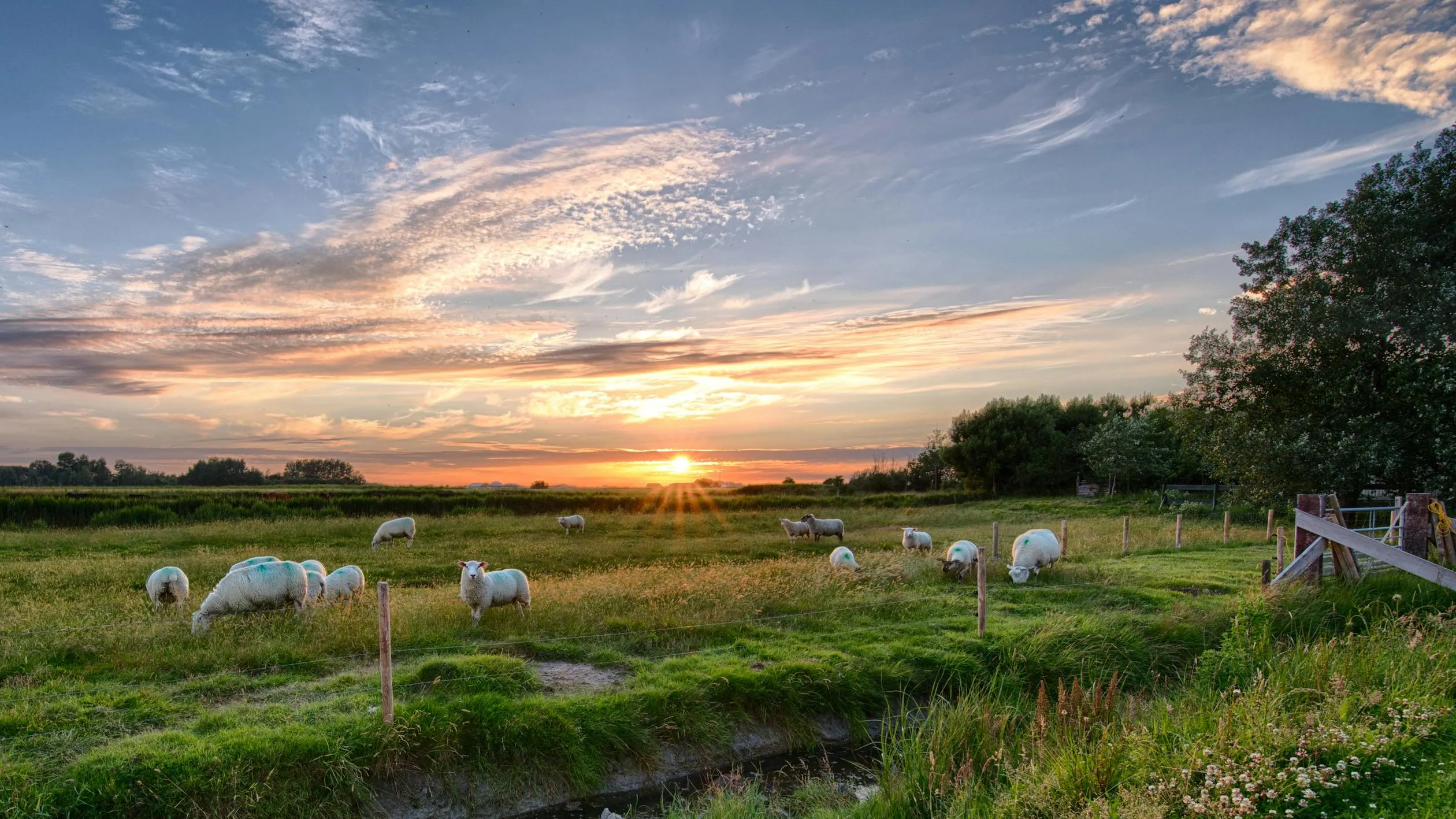 Green Pasture Under Dramatic Sunset Sky with Clouds