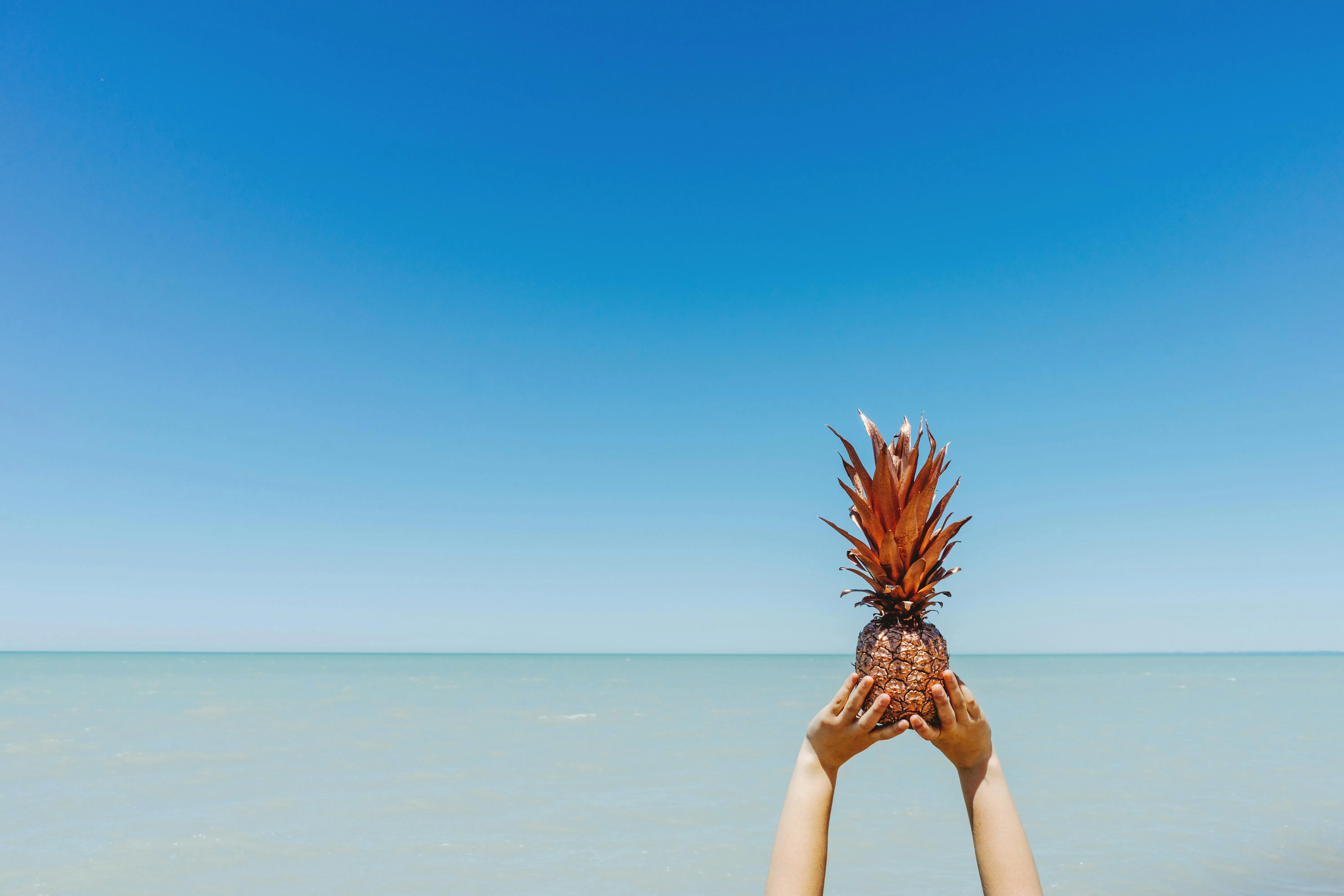 Hands Holding a Pineapple Against a Bright Blue Sky
