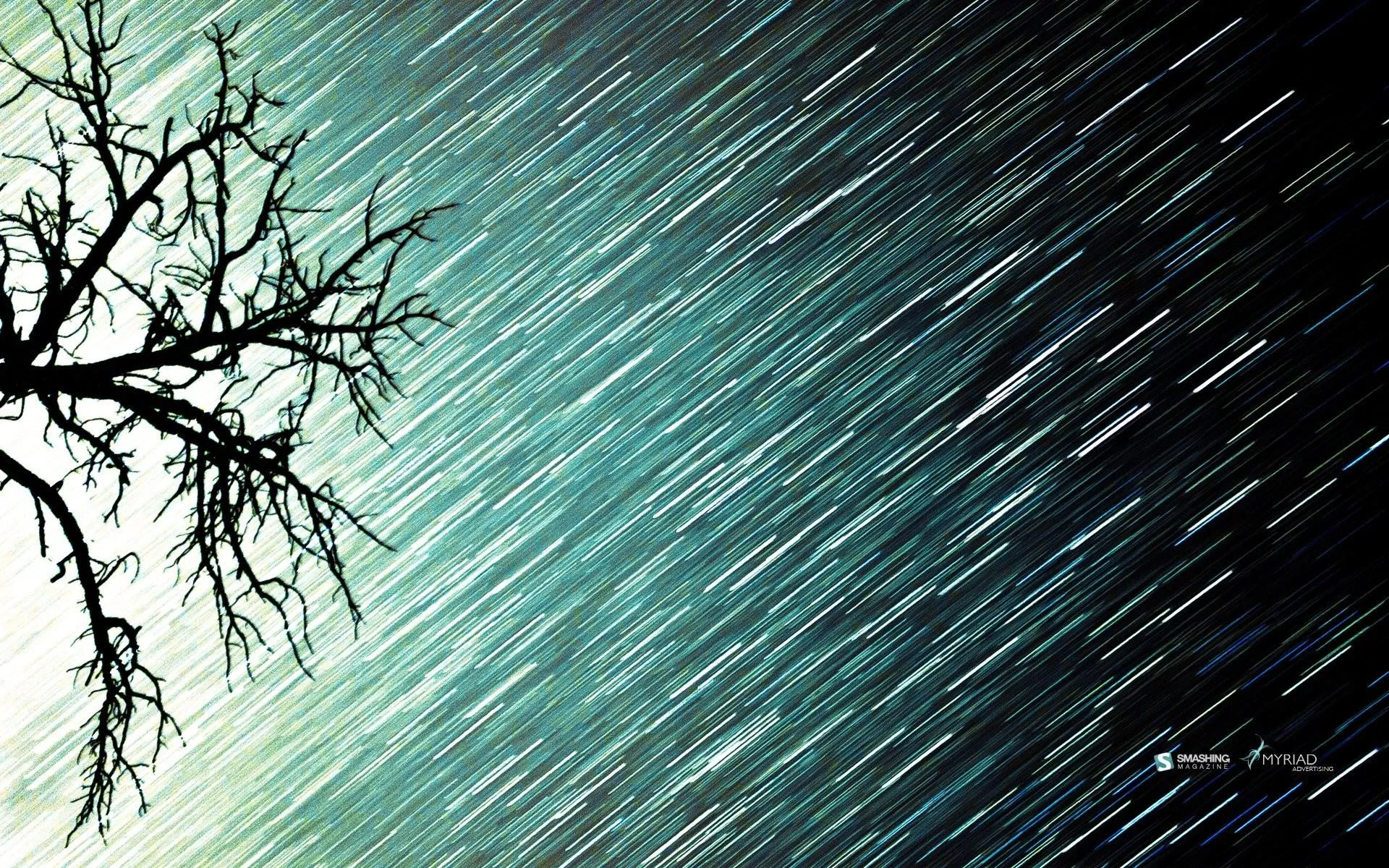 Heavy Rain Falling with Bare Tree Silhouette Wallpaper