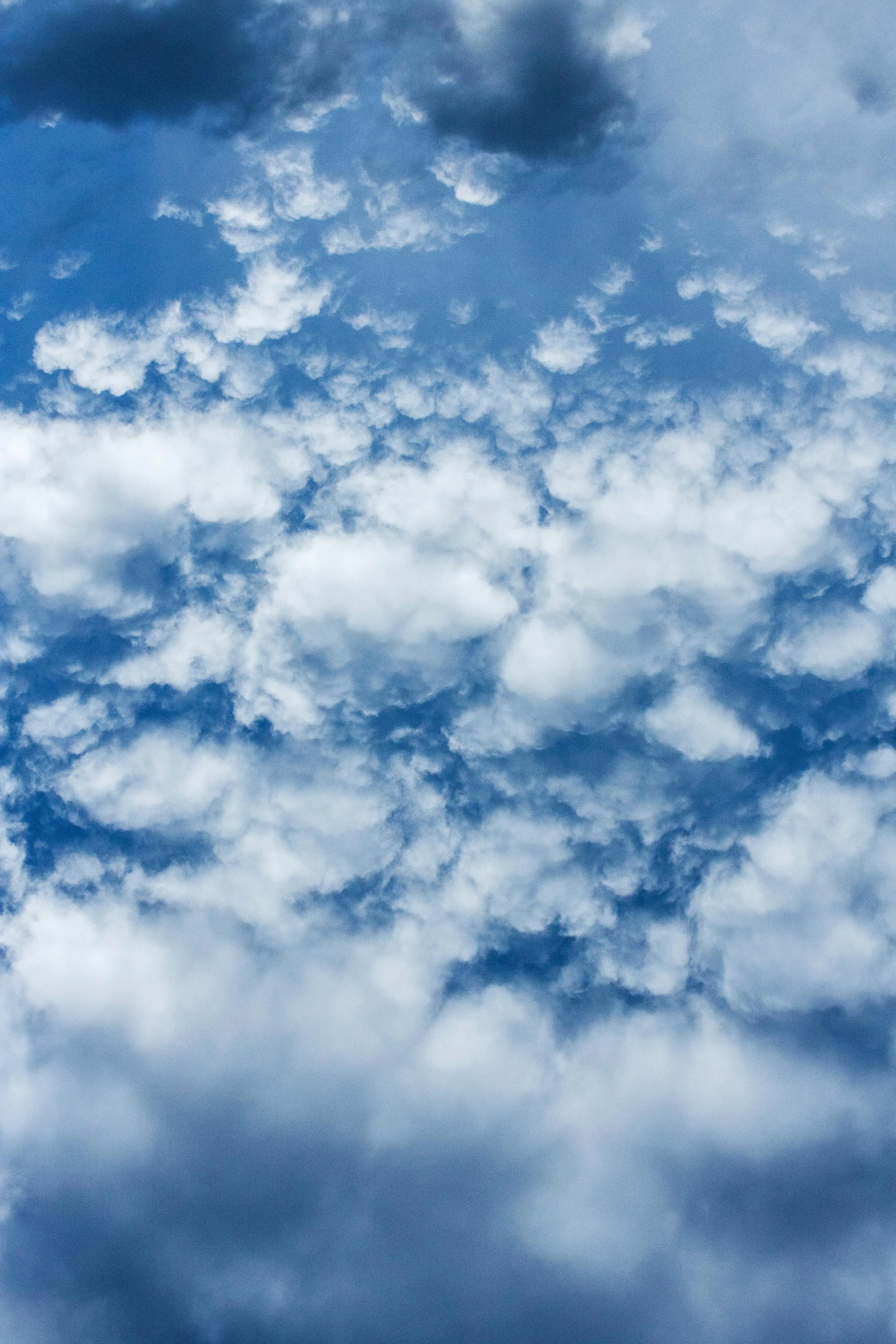High Altitude View of Sky Filled with Textured White Clouds