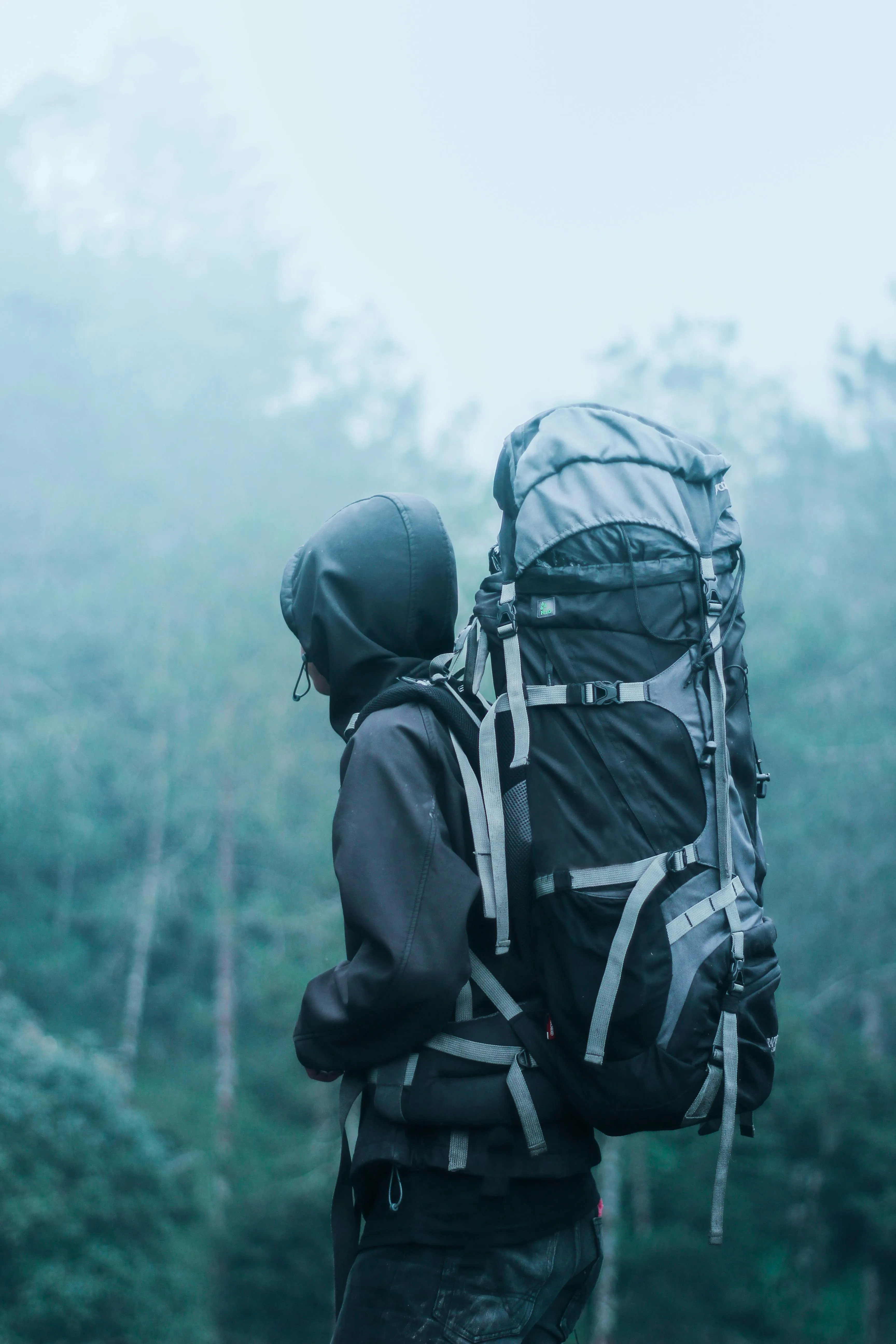 Hiker with Backpack Walking Through Misty Forest Pathway