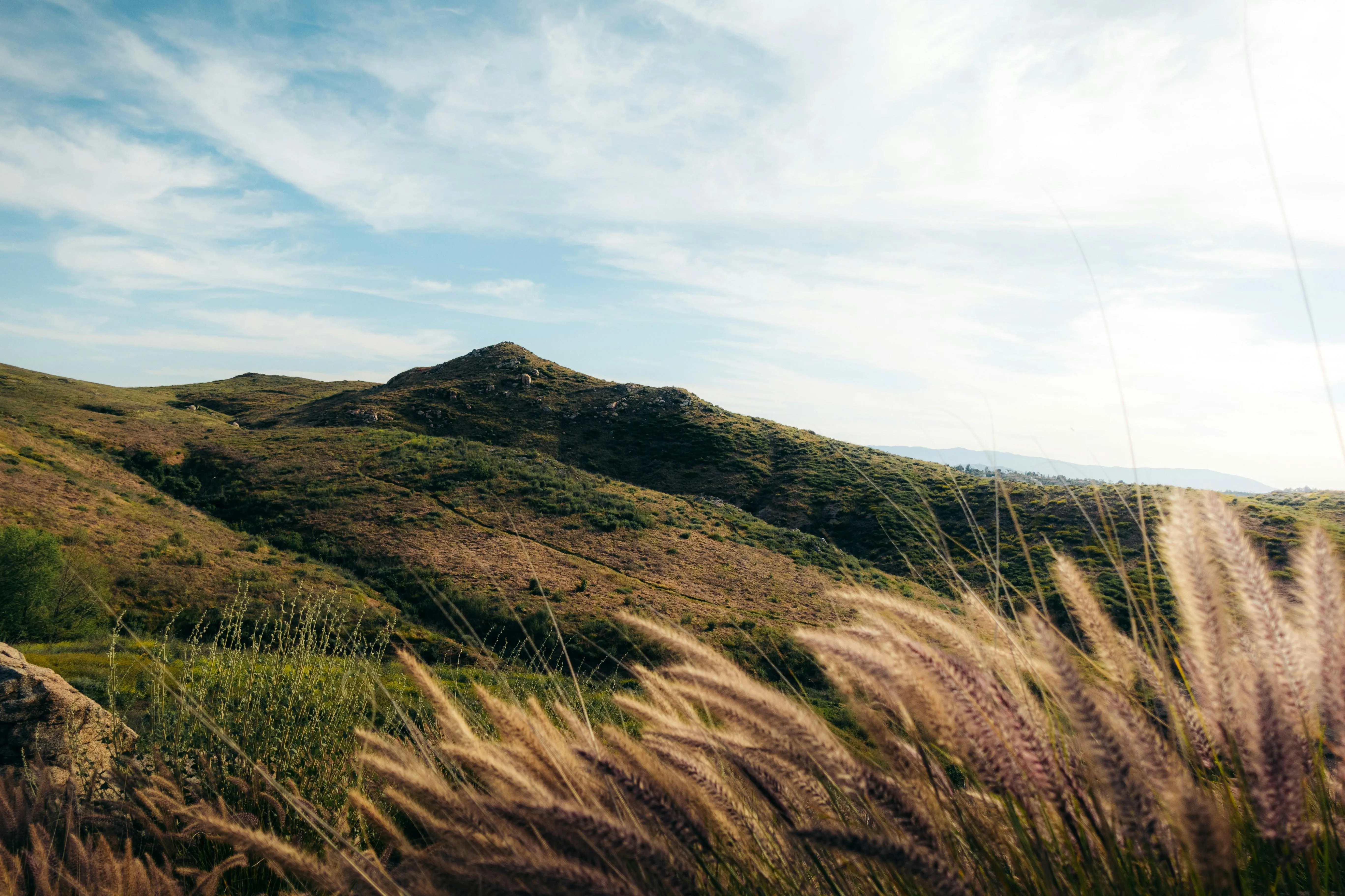 Hillside Fields Beneath Blue Sky and Puffy Clouds free image