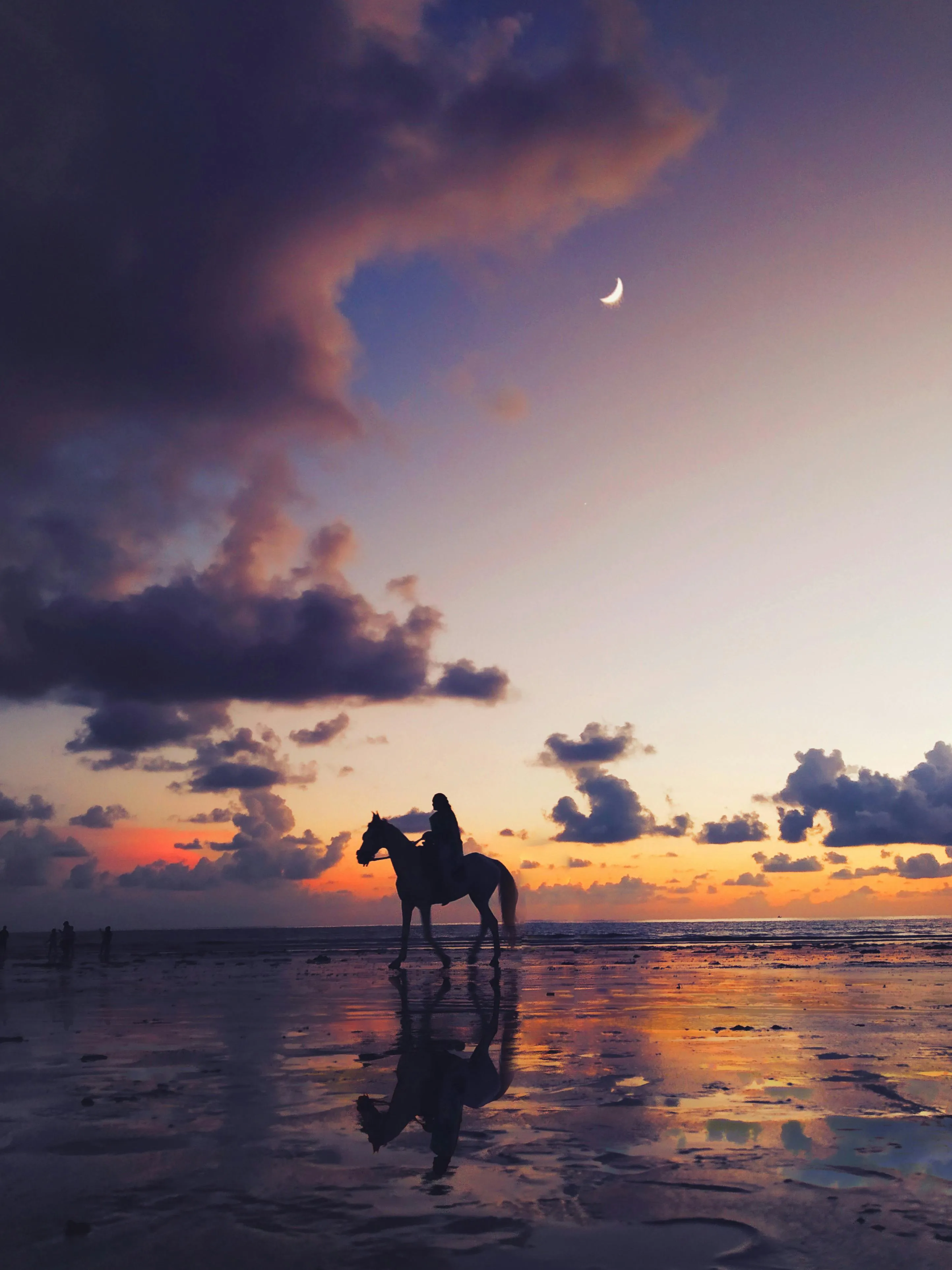 Horse Rider Silhouette on Beach During Colorful Sunset
