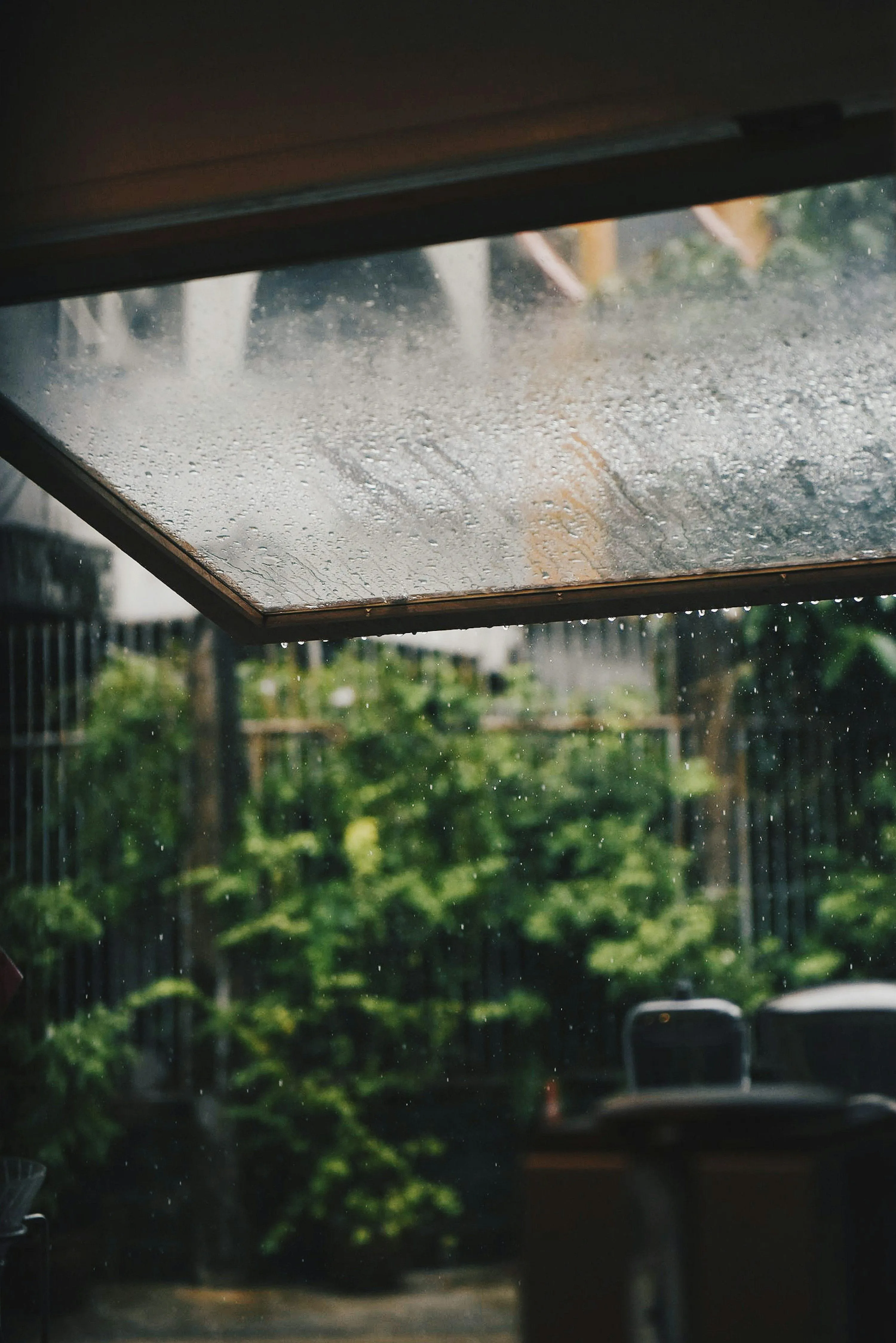 Indoor Garden with Raindrops Falling Through Glass Ceiling