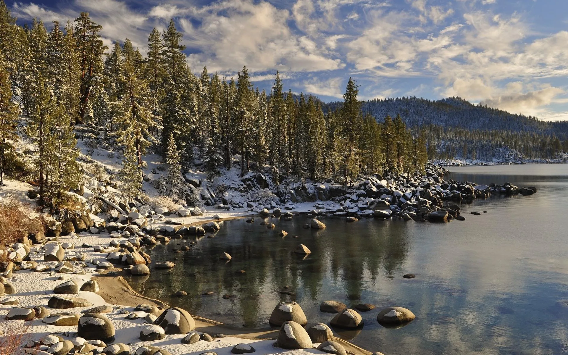 Lake and Pine Trees in Calm Golden Hour Light image